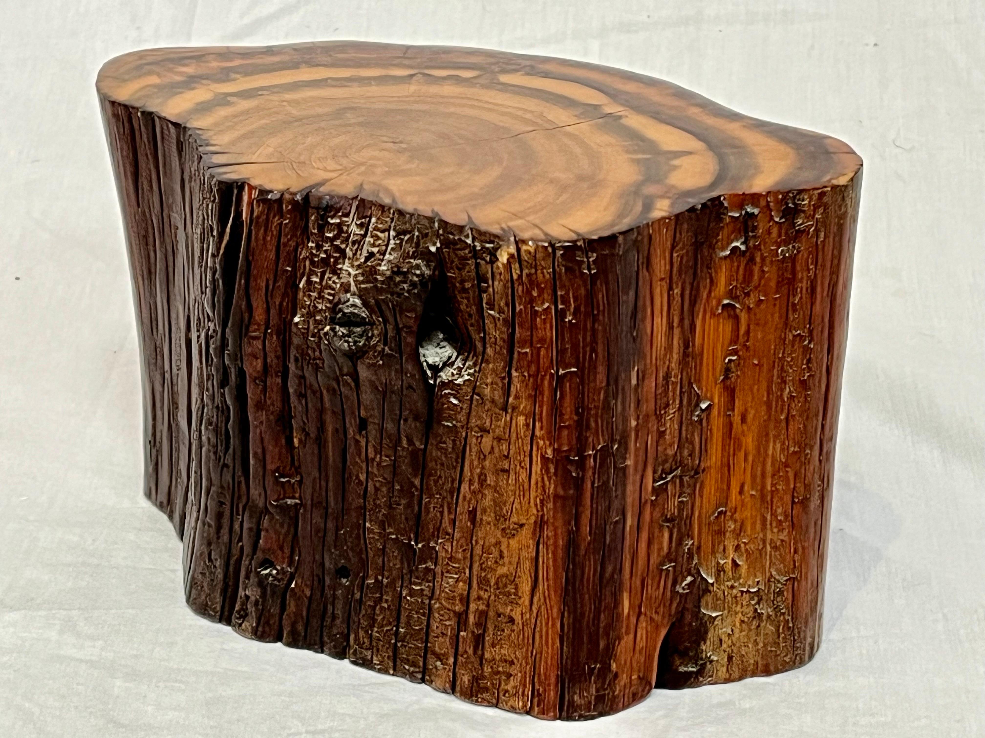 Studio Made American Organic Freeform Rustic Craft Wood Jewelry or Stash Box 4