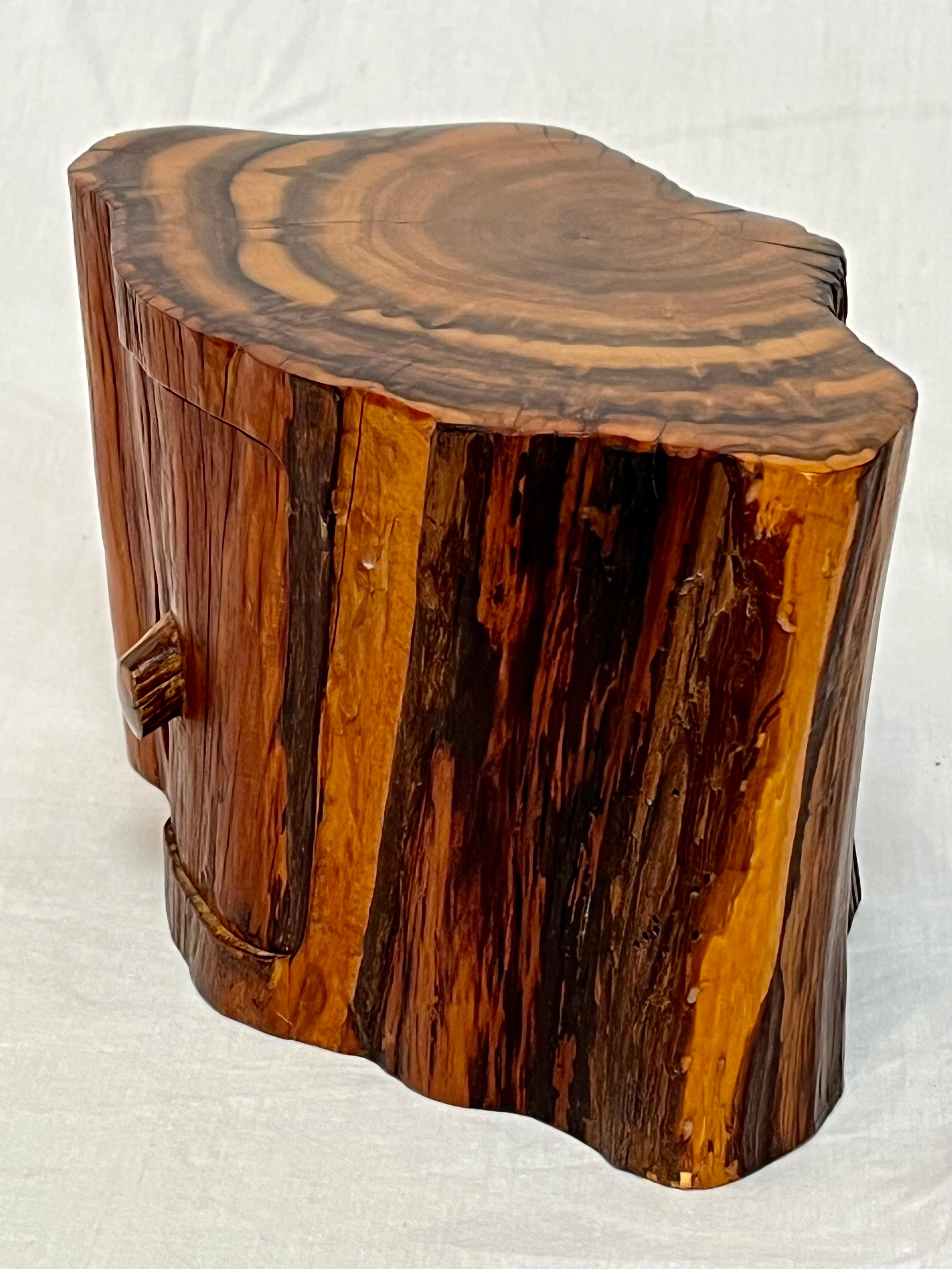 Studio Made American Organic Freeform Rustic Craft Wood Jewelry or Stash Box 6
