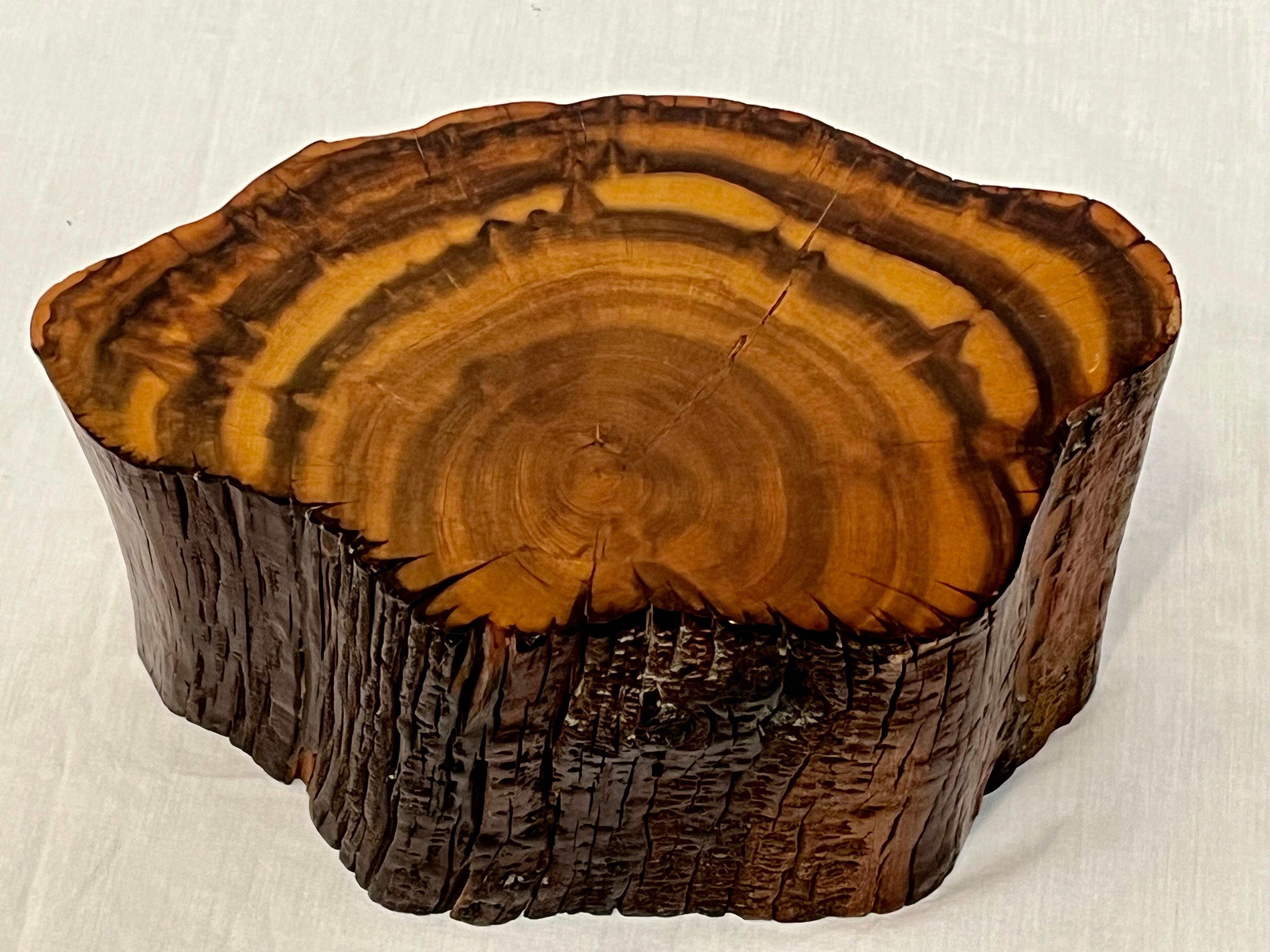 Studio Made American Organic Freeform Rustic Craft Wood Jewelry or Stash Box 7