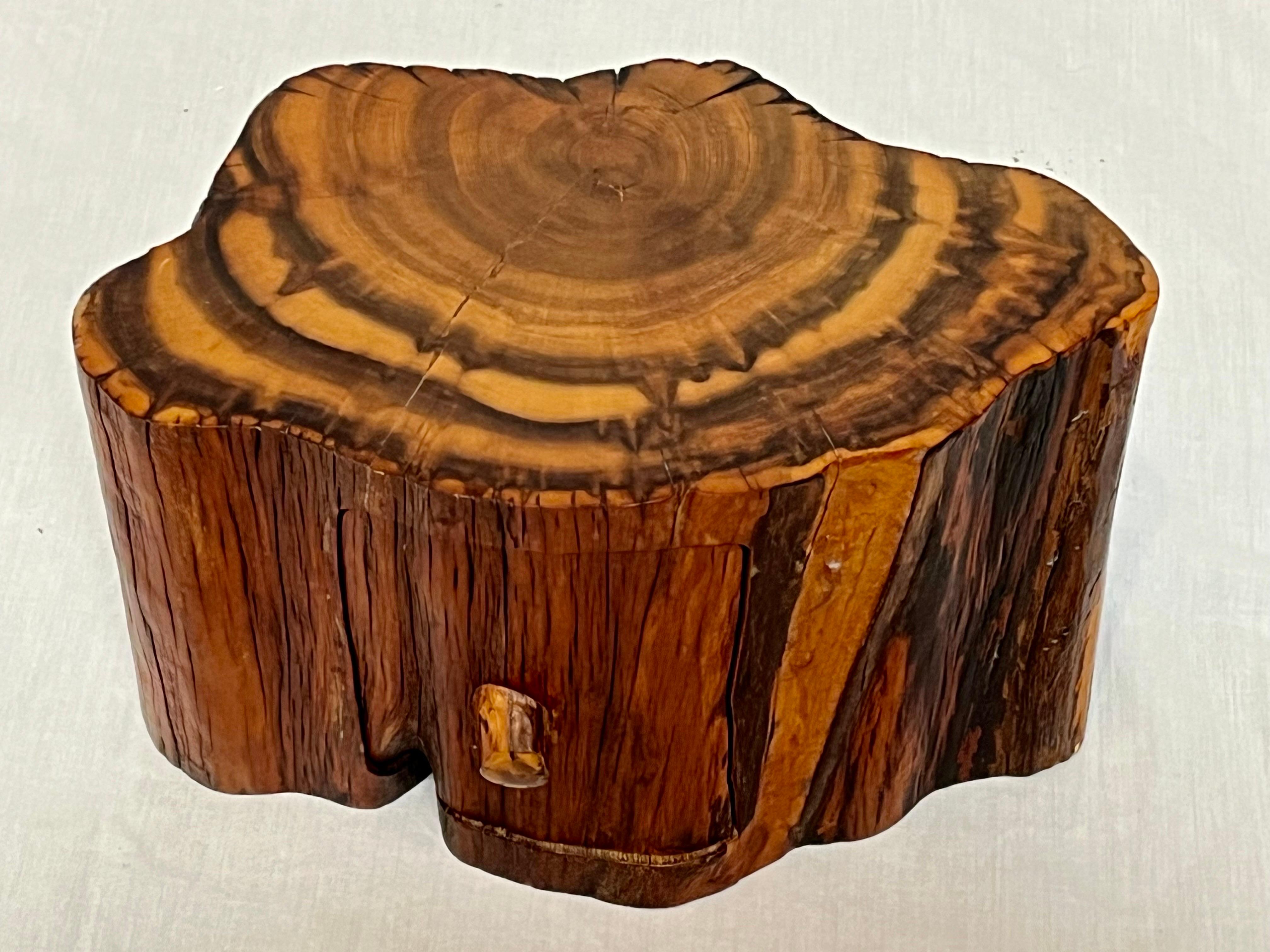 Studio Made American Organic Freeform Rustic Craft Wood Jewelry or Stash Box 8