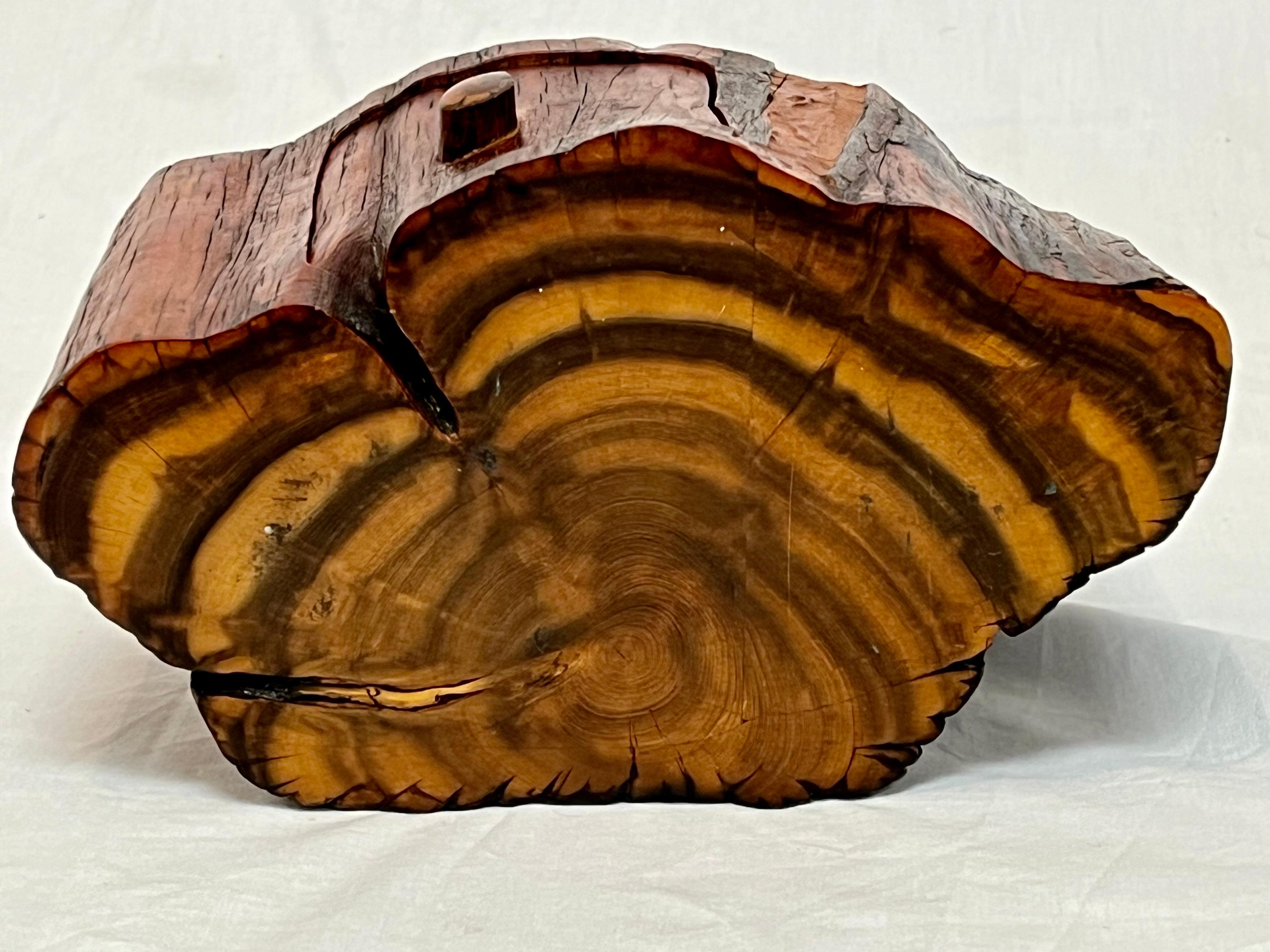 Studio Made American Organic Freeform Rustic Craft Wood Jewelry or Stash Box 10