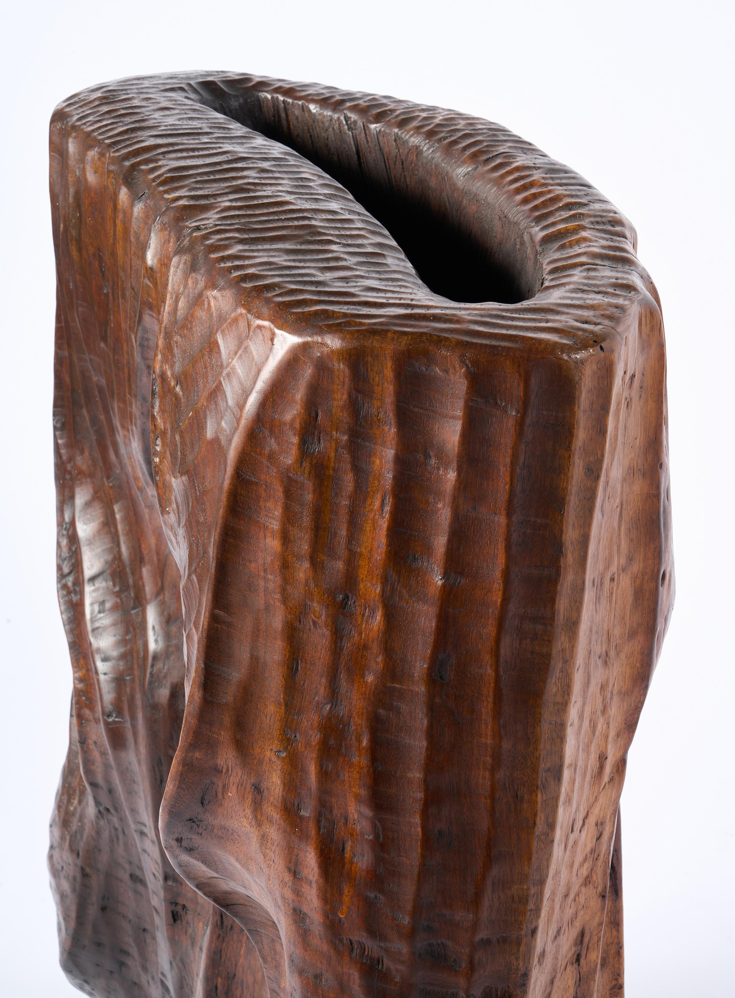 Scultura brutalista in legno di sapele realizzata in studio e firmata DPR, 1977 in vendita 8