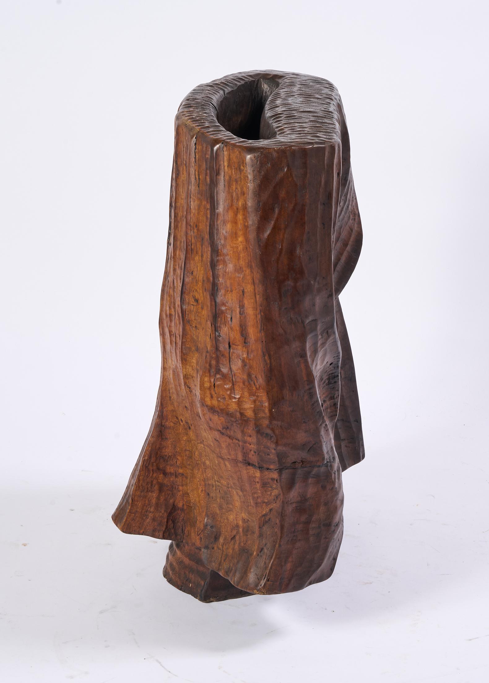Scultura brutalista in legno di sapele realizzata in studio e firmata DPR, 1977 in vendita 13
