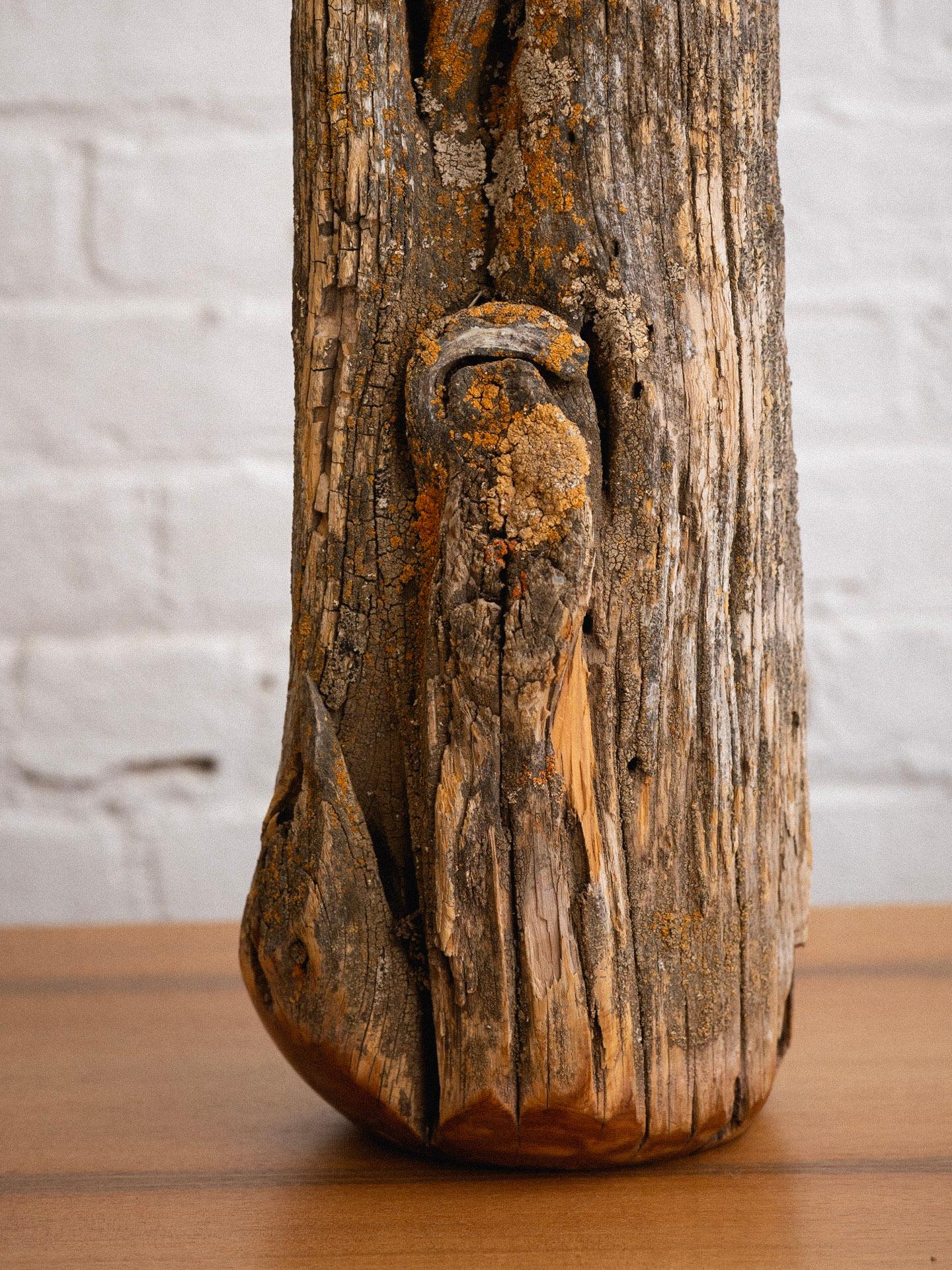 Studio Made Live Edge Wood Lamp In Good Condition In Brooklyn, NY