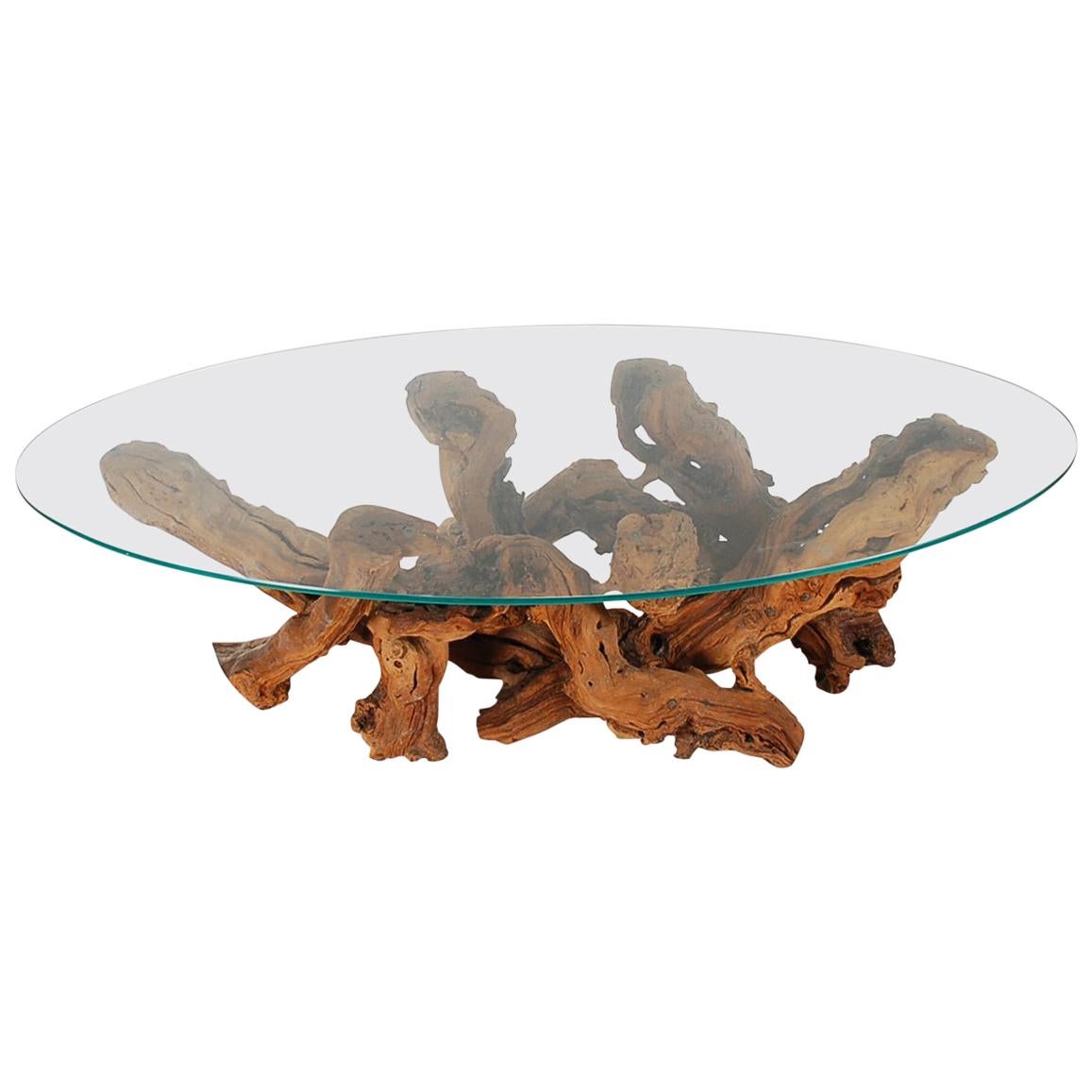 Studio Made Mid-Century Modern Live Edge Driftwood Glass Top Oval Coffee Table