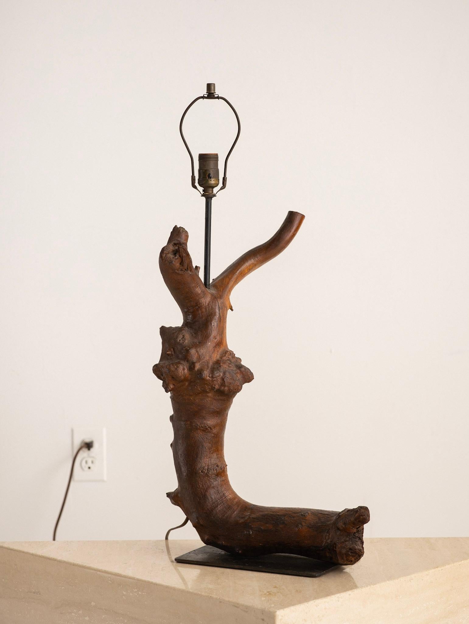 Studio made root wood table lamp on iron base. Shade not included.