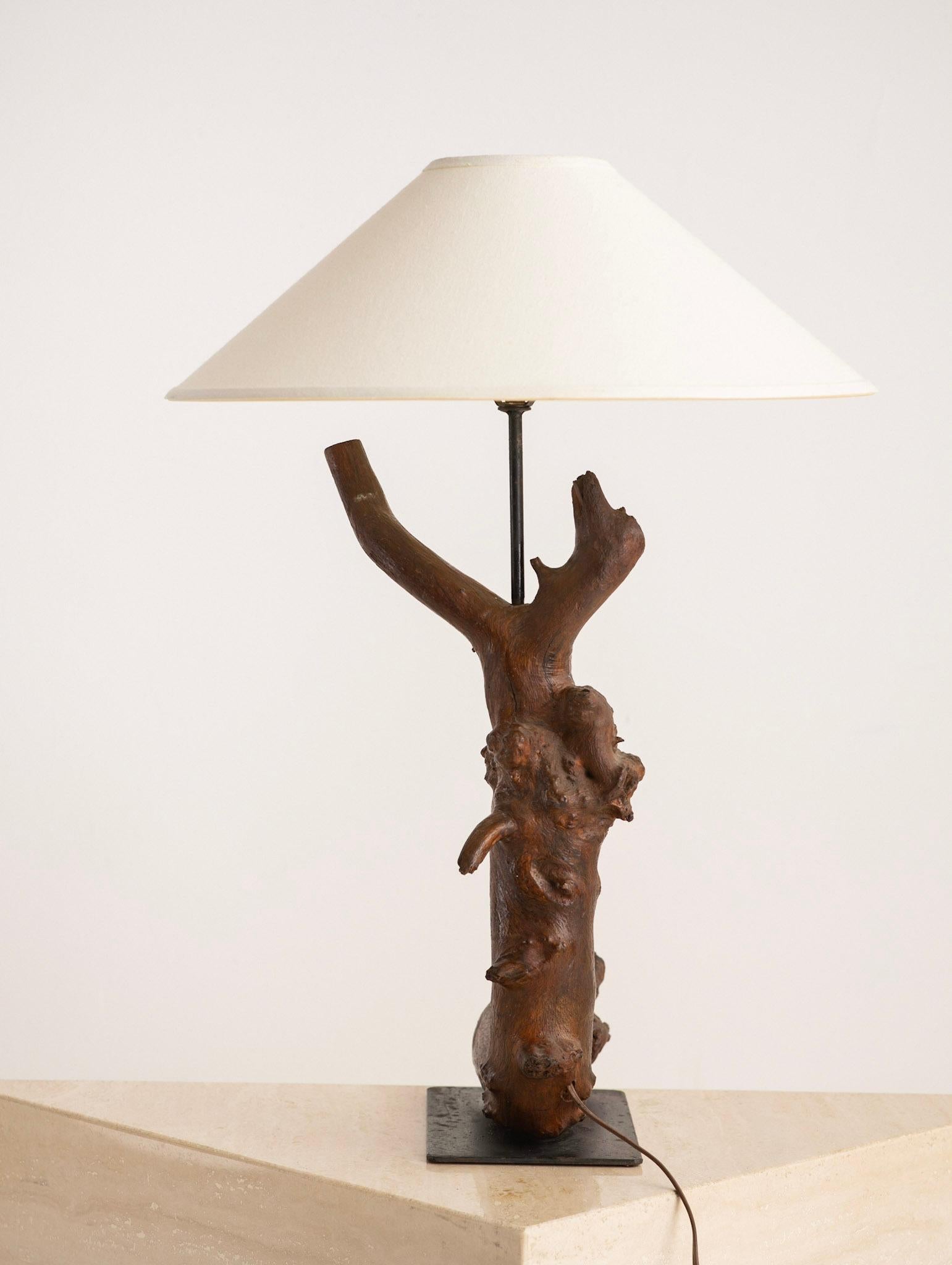 tree root lamp