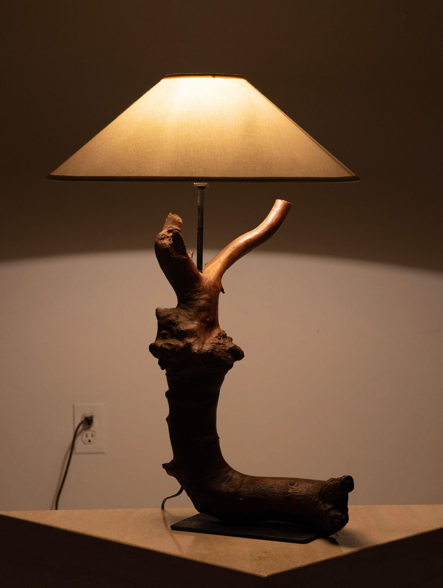 North American Studio Made Root Wood Table Lamp on Iron Base