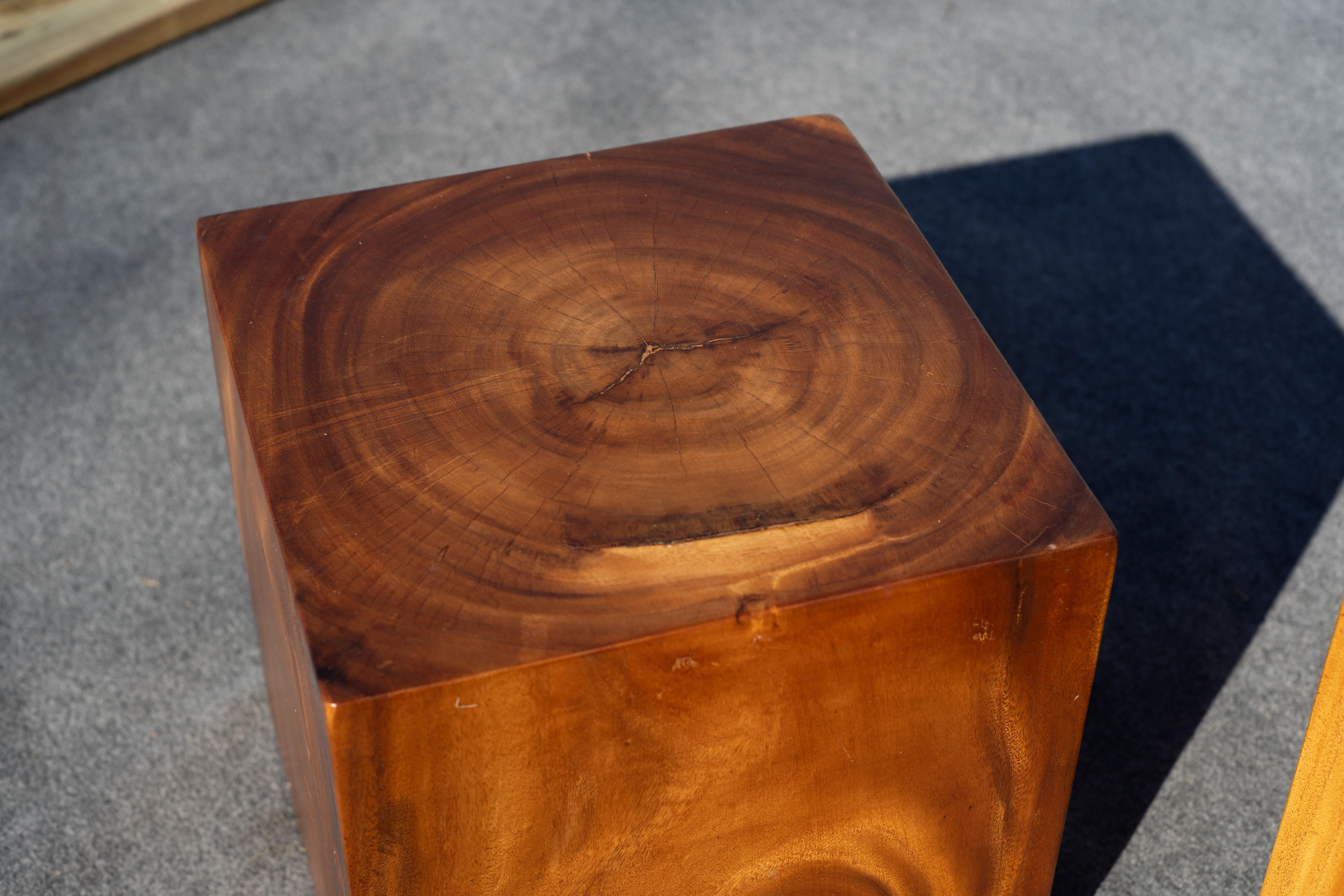 Late 20th Century Studio-Made Solid Teak Root Heavy Cube Side or End Tables Mid-Century Inspired For Sale