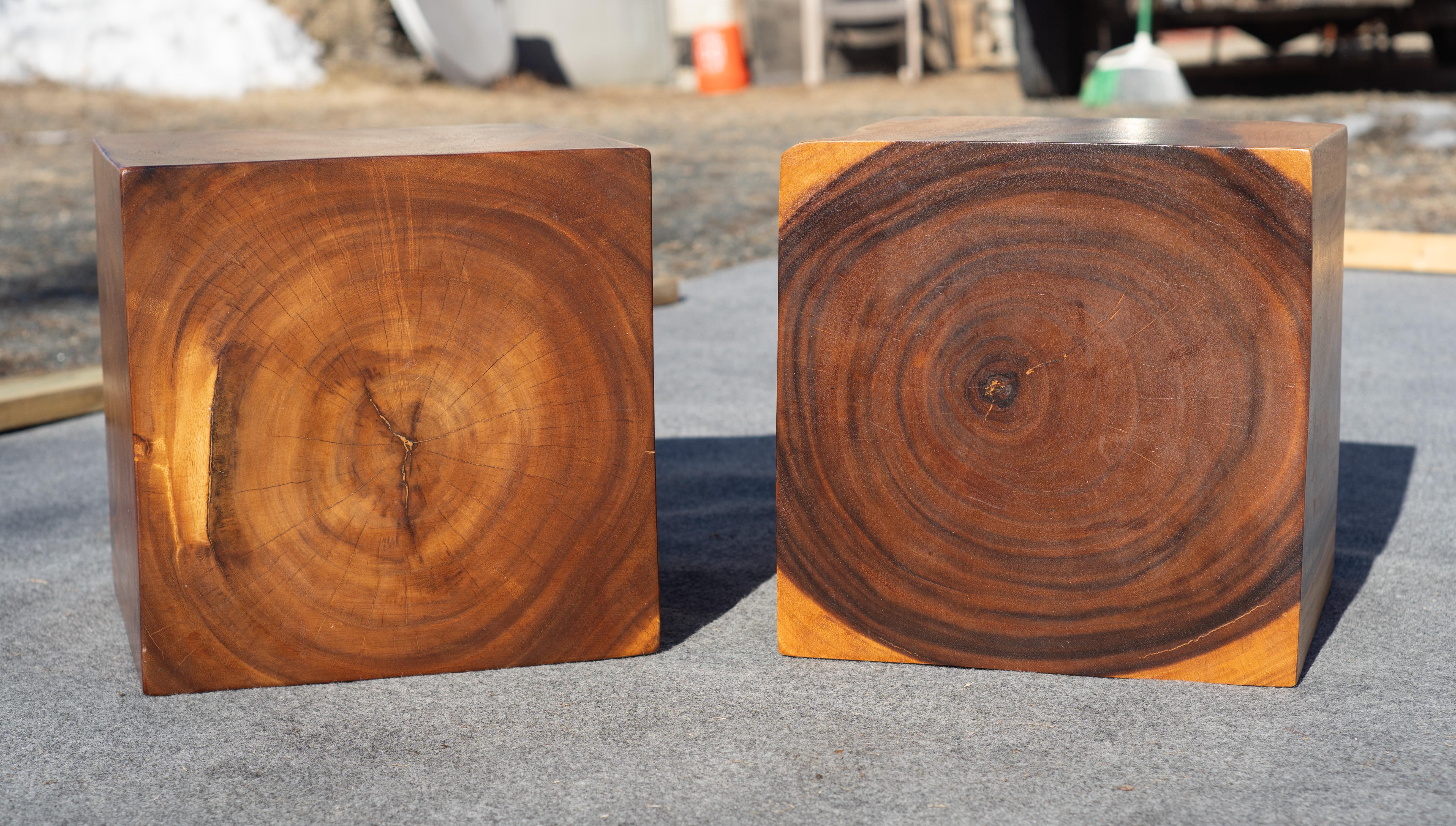 Studio-Made Solid Teak Root Heavy Cube Side or End Tables Mid-Century Inspired For Sale 1