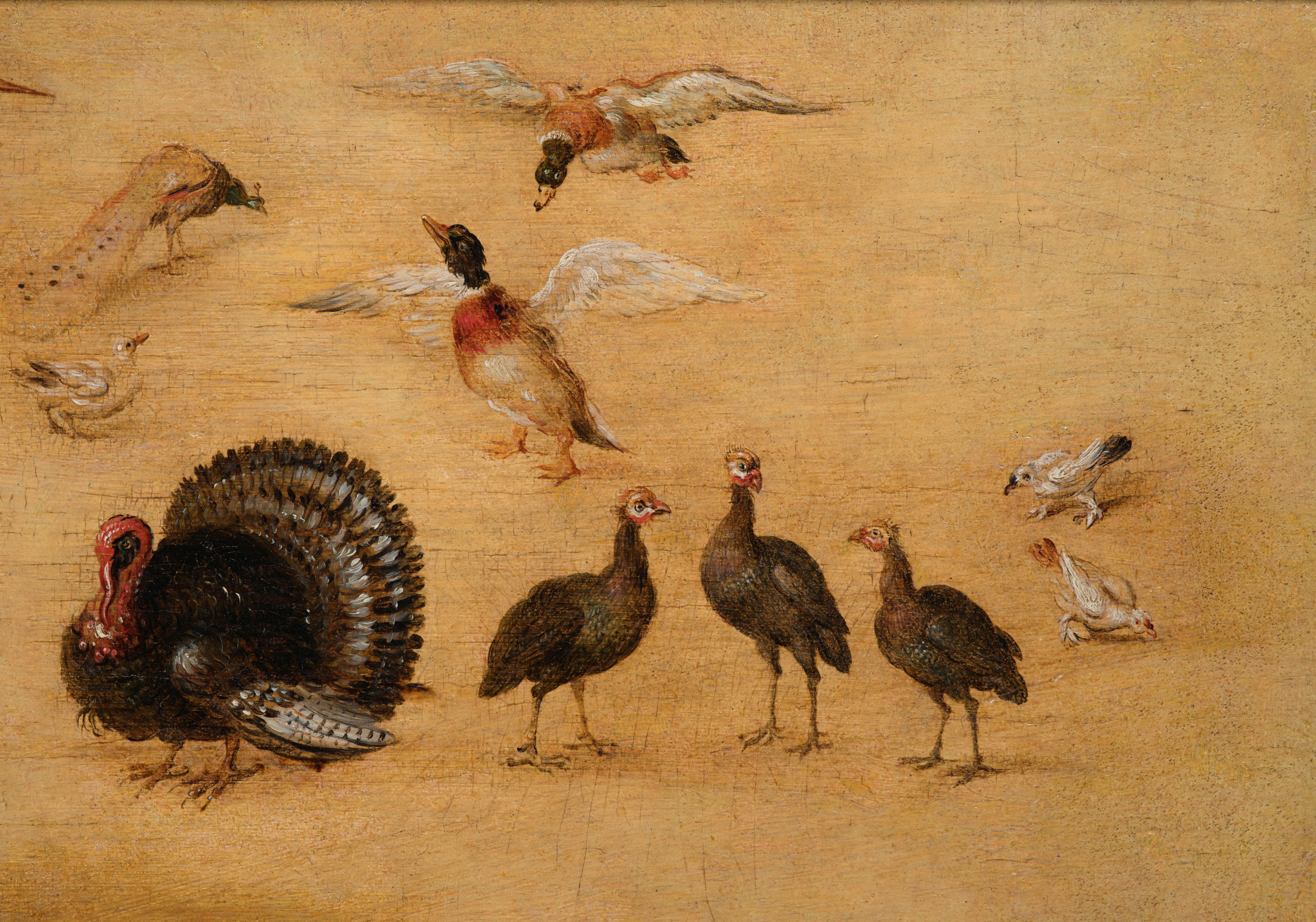 Estudio de ave, pintura sobre tabla del Estudio de Jan Brueghel el Joven - Animal Painting Marrón de Studio of Jan Brueghel the Younger