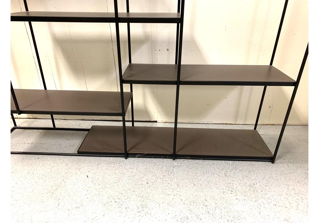 Mid-Century Modern Studio Pepe For Ivan Redaelli Hill Steel Wall Unit With Leather Shelving For Sale