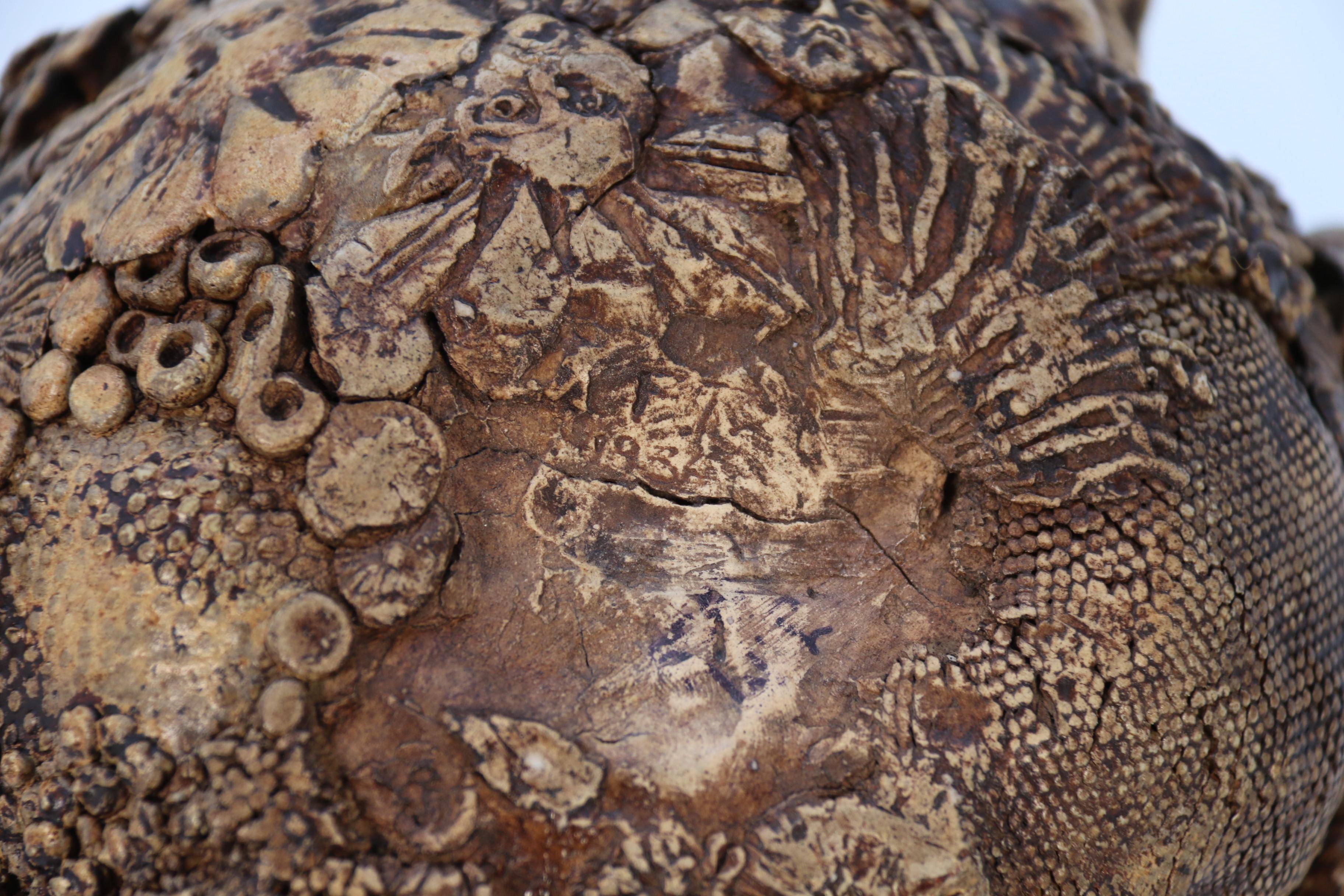 Studio pottery hand created mythical sculpture of the many faces of sea urchins 9