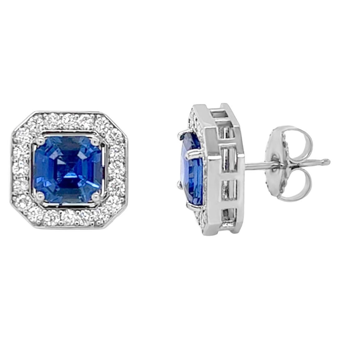 Studs Earrings 18kt Cushion Ceylon Sapphires 3.00 cts & Diamonds Halo 0.60 cts  For Sale