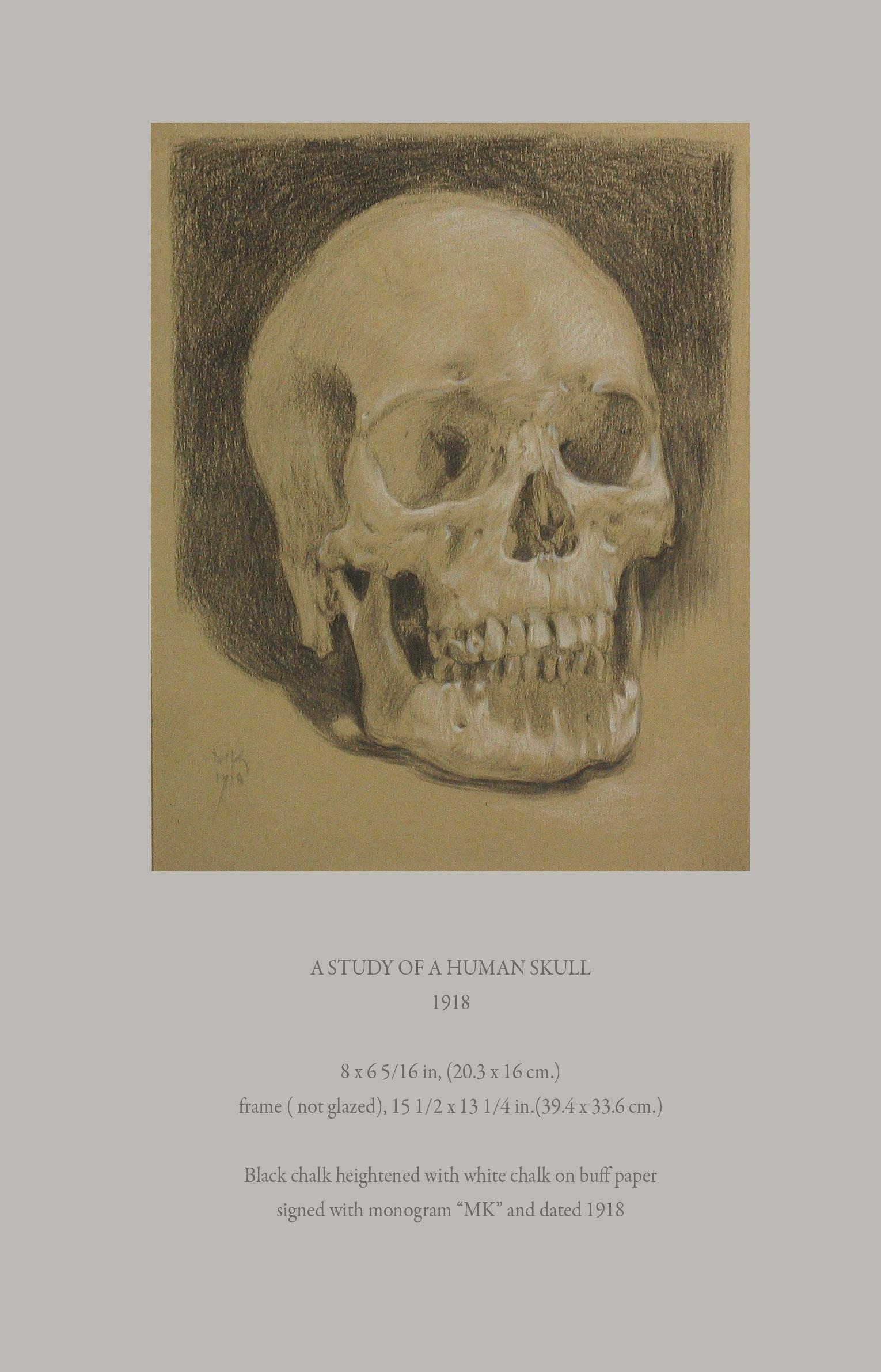 German Study of a Human Skull Drawing Dated 1918 For Sale