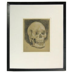 Vintage Study of a Human Skull Drawing Dated 1918