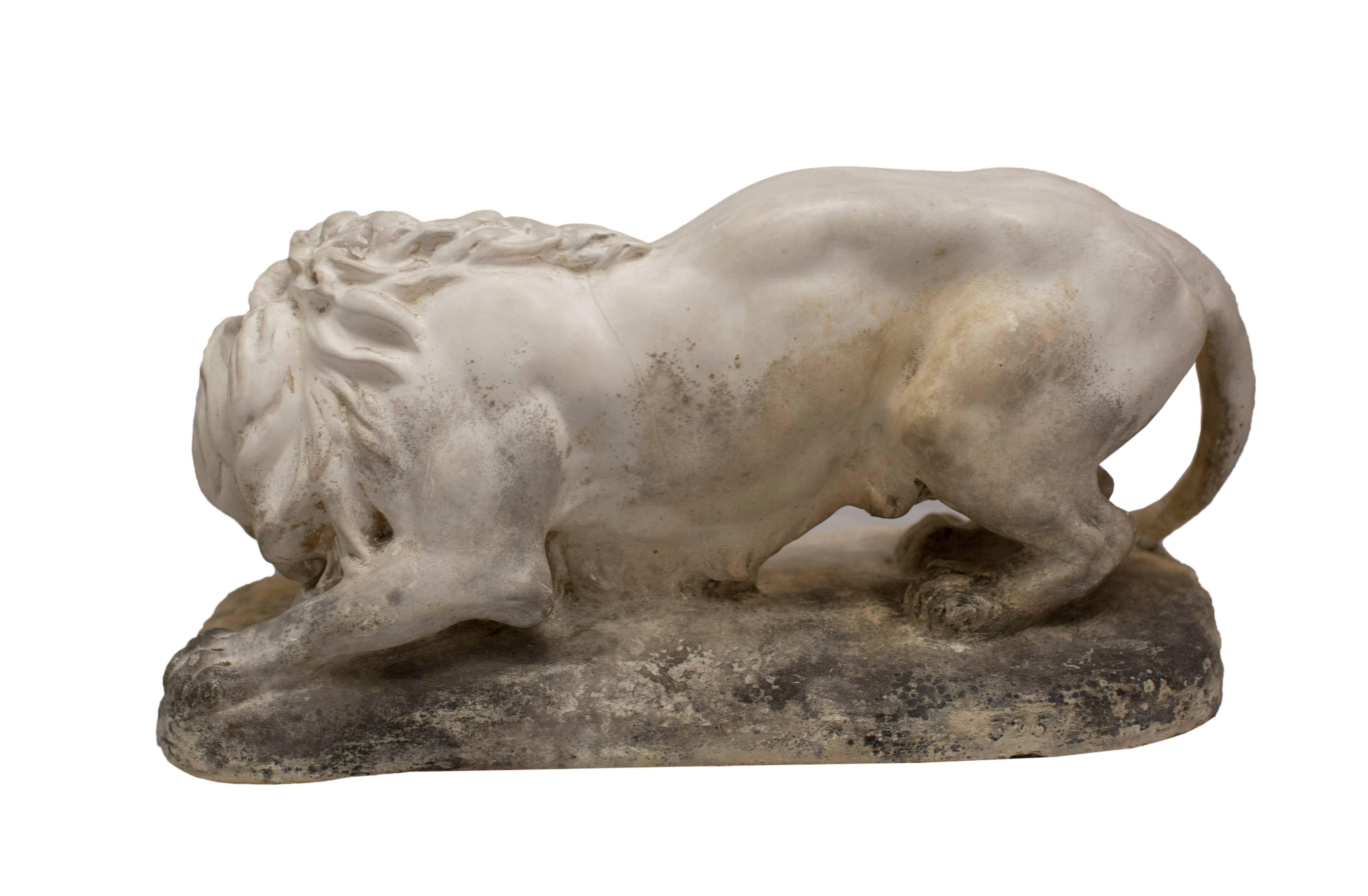 European Study of a Lion For Sale