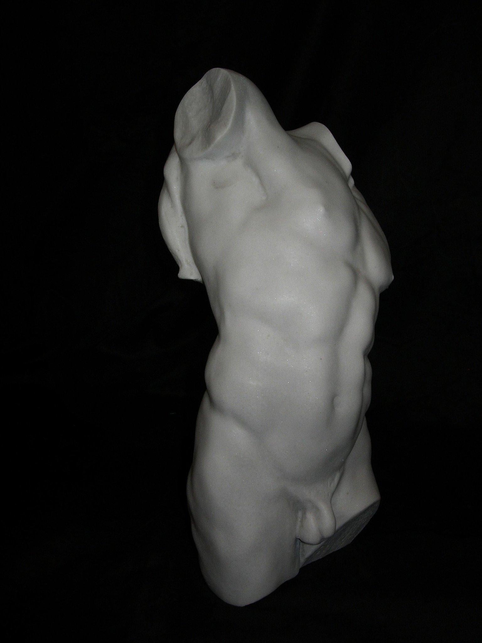 Study of a Male Torso Marble Bust Sculpture, 20th Century In Excellent Condition For Sale In London, GB