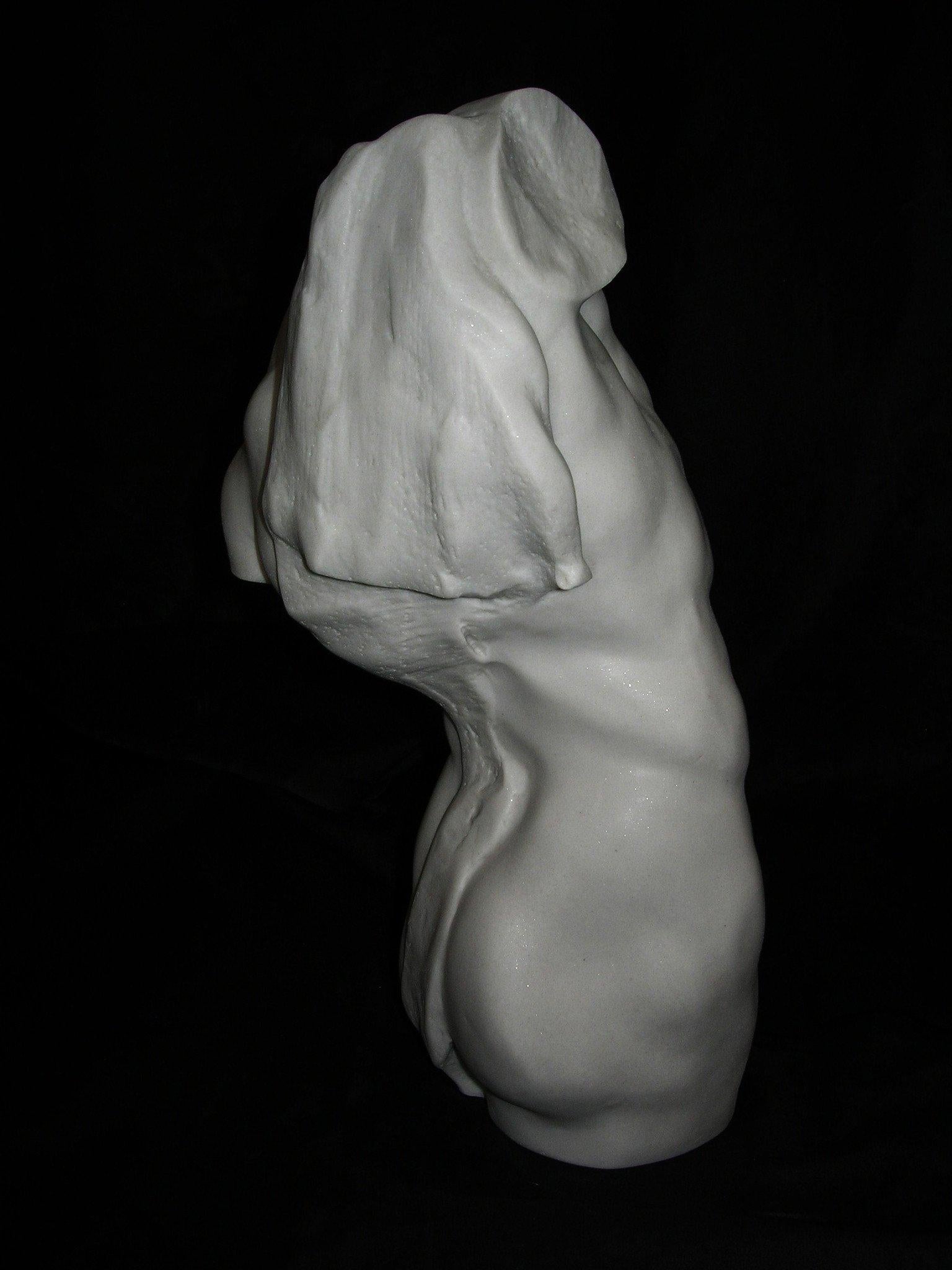 Study of a Male Torso Marble Bust Sculpture, 20th Century 1