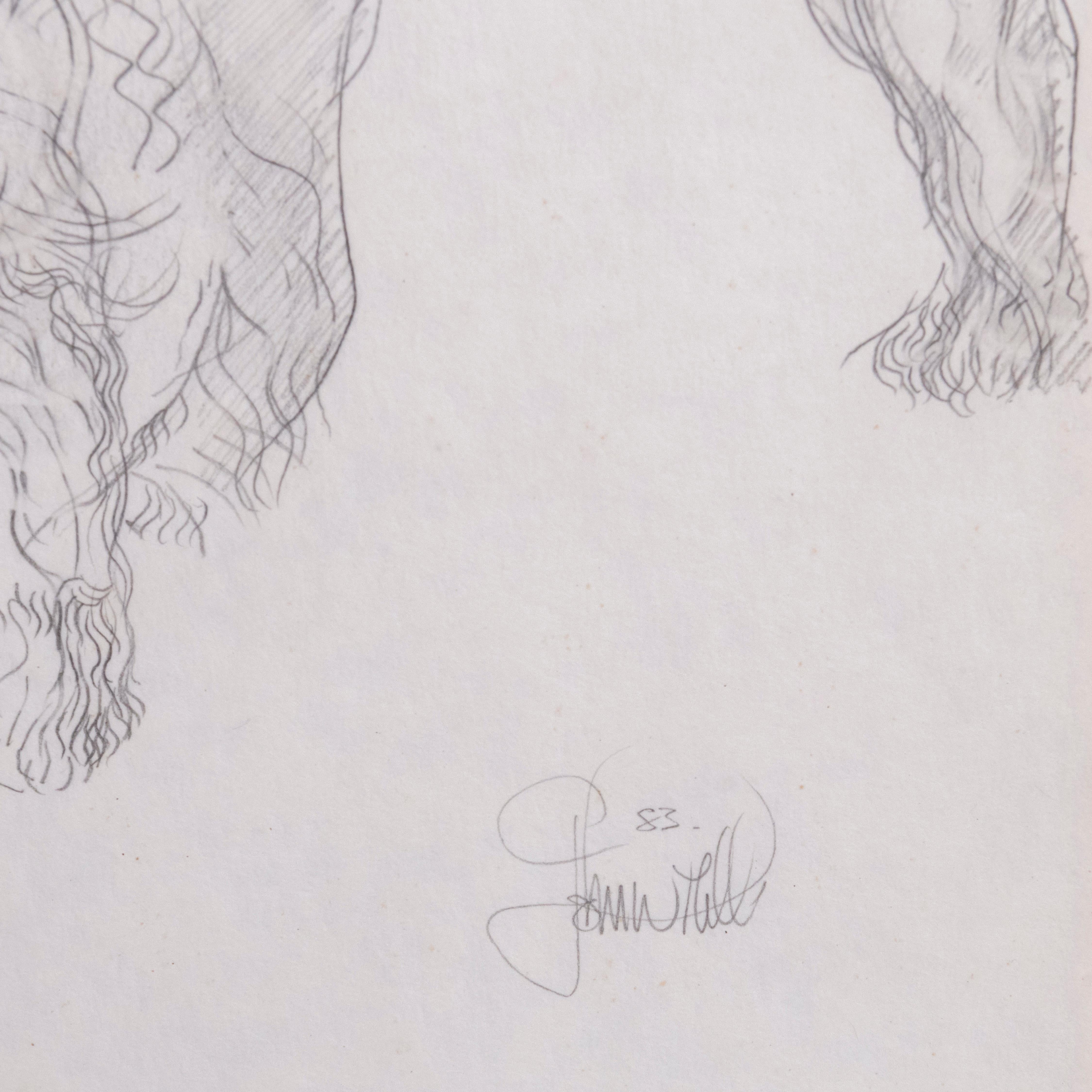 Study of Doris, the Afghan Hound, by John W Mills In Excellent Condition For Sale In Knutsford, GB