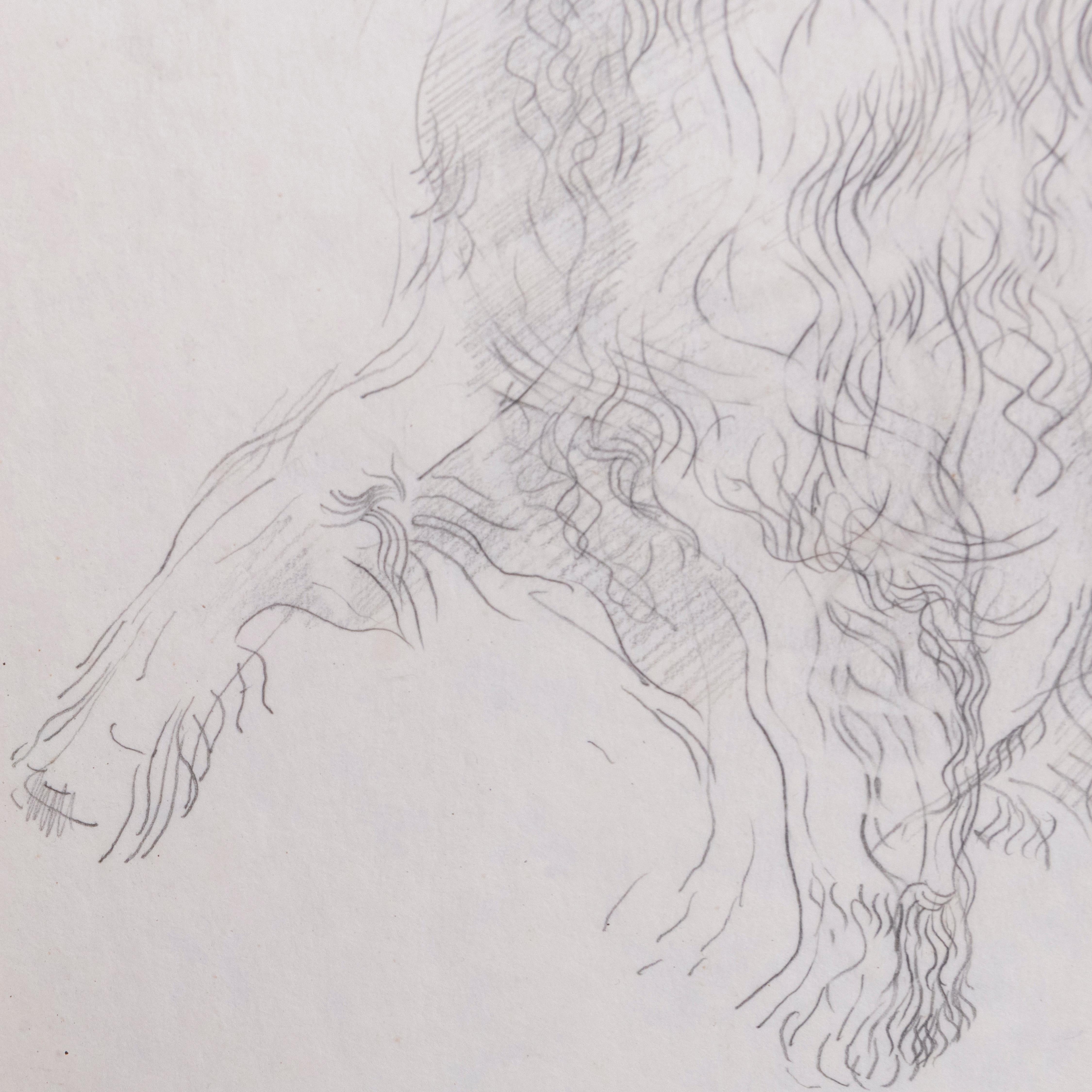 Late 20th Century Study of Doris, the Afghan Hound, by John W Mills For Sale