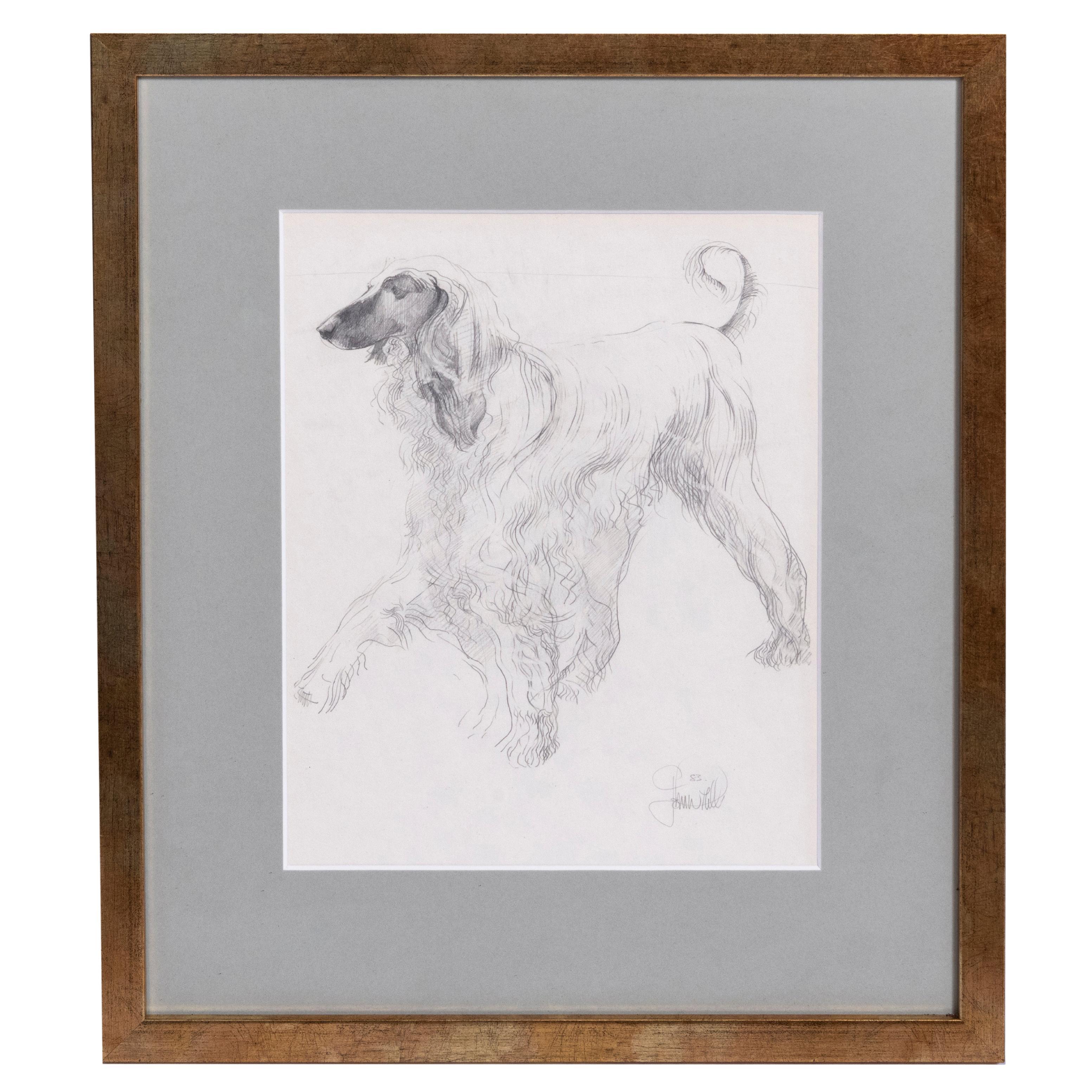 The Study of Doris, the Afghan Hound, von John W. Mills