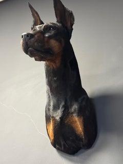 Stuffed head of a Dobberman Pincher