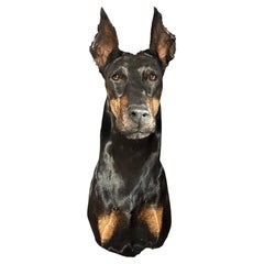 Stuffed head of a Dobberman Pincher