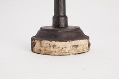 Stuffed Robin Bird for Natural History Cabinet, Italy, 1880