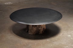 Stump Cashew Top Coffee Table