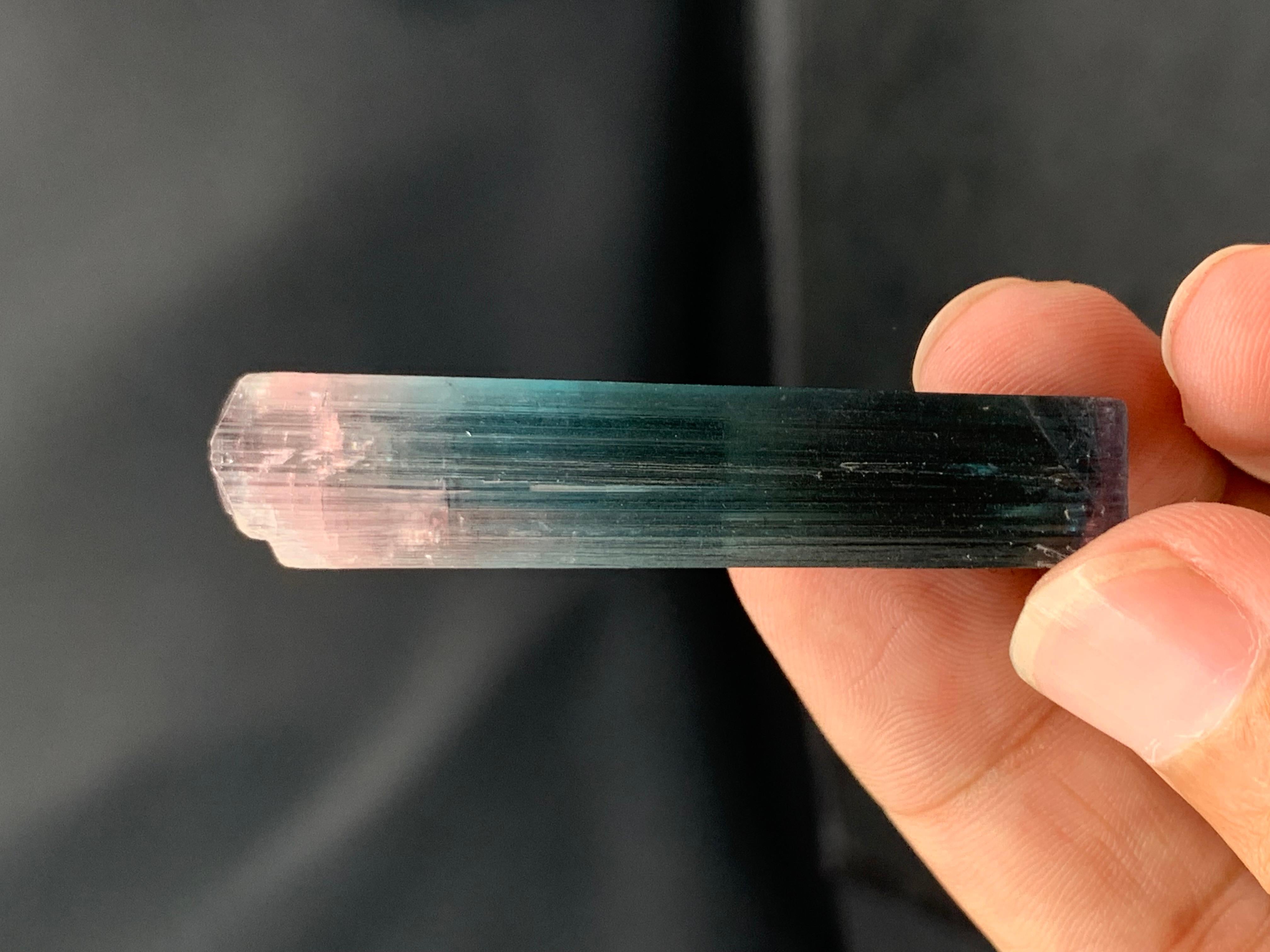 Atemberaubender 10,47 Gramm Bi Farbe Turmalin Kristall aus Afghanistan-Mine im Angebot 4