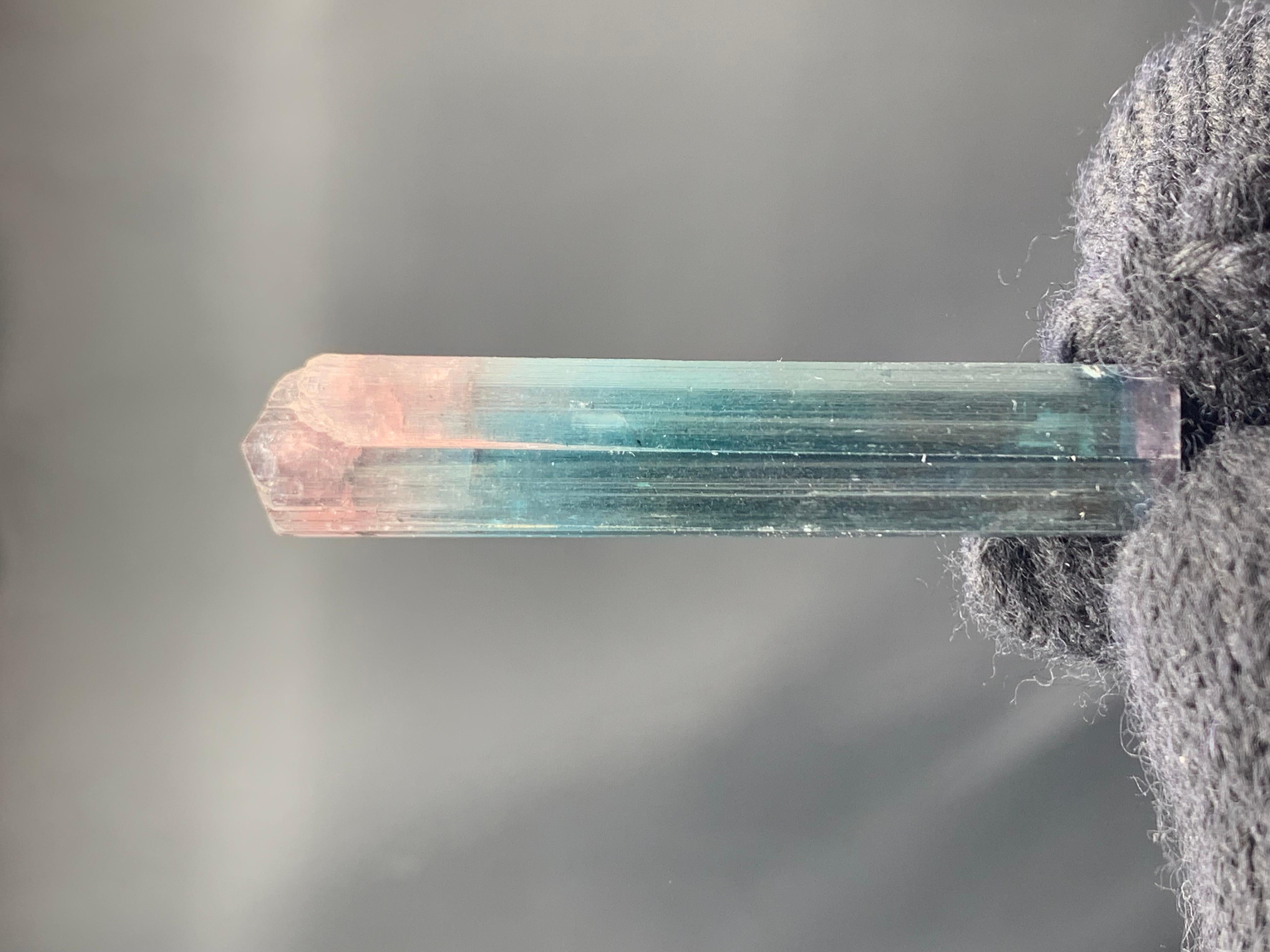 PRODUKTINFORMATION:

Probenart: Zweifarbiger Turmalin-Kristall 
Gewicht: 10,47 Gramm
Abmessungen: H: 4.7 x B: 1.1 x T: 0.8 Cm
Herkunft: Paprook-Mine, Provinz Nuristan, Afghanistan
Behandlung: Keine

BESCHREIBUNG:

Dieser atemberaubende natürliche