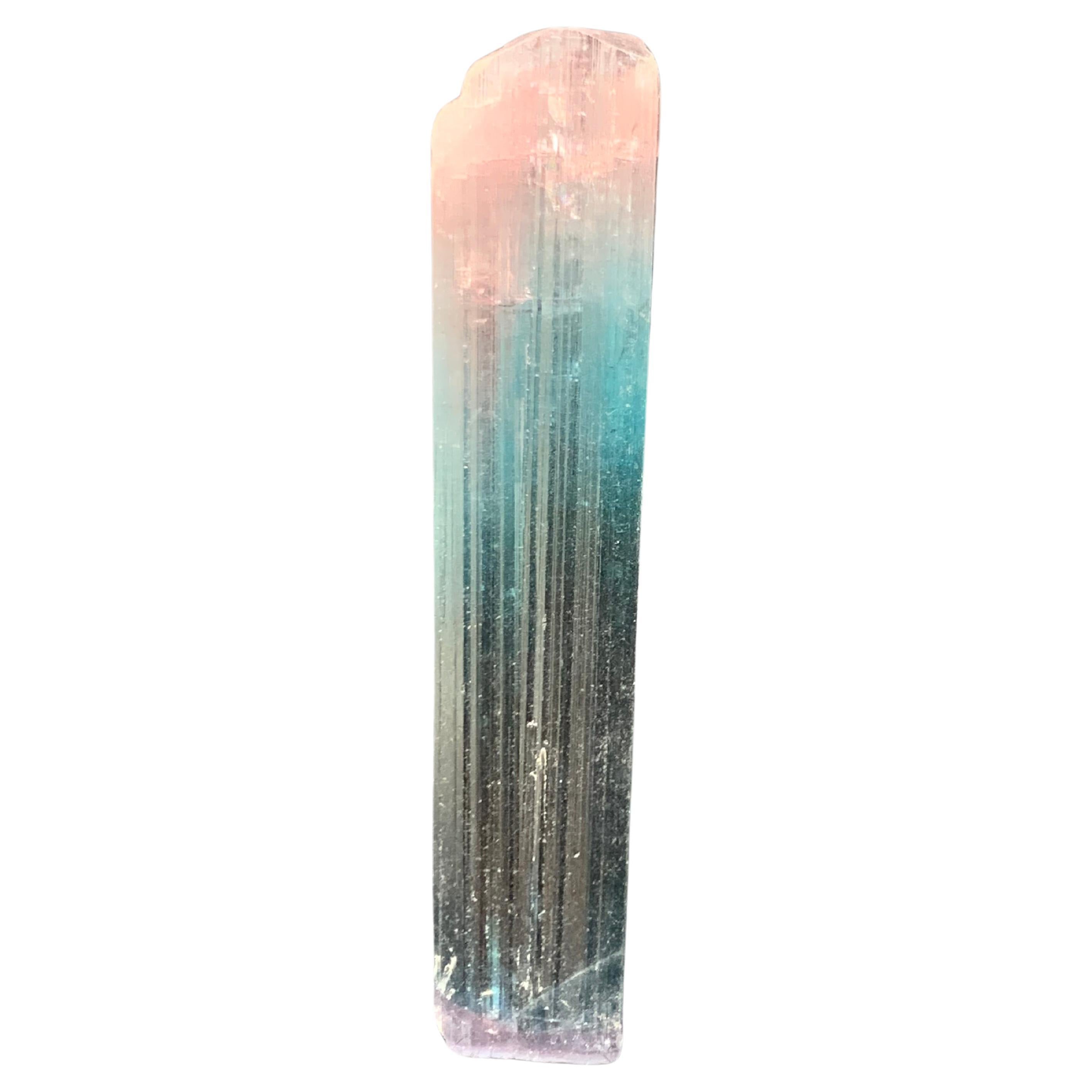 Stupendo cristallo di tormalina bicolore da 10,47 grammi proveniente dalla miniera dell'Afghanistan