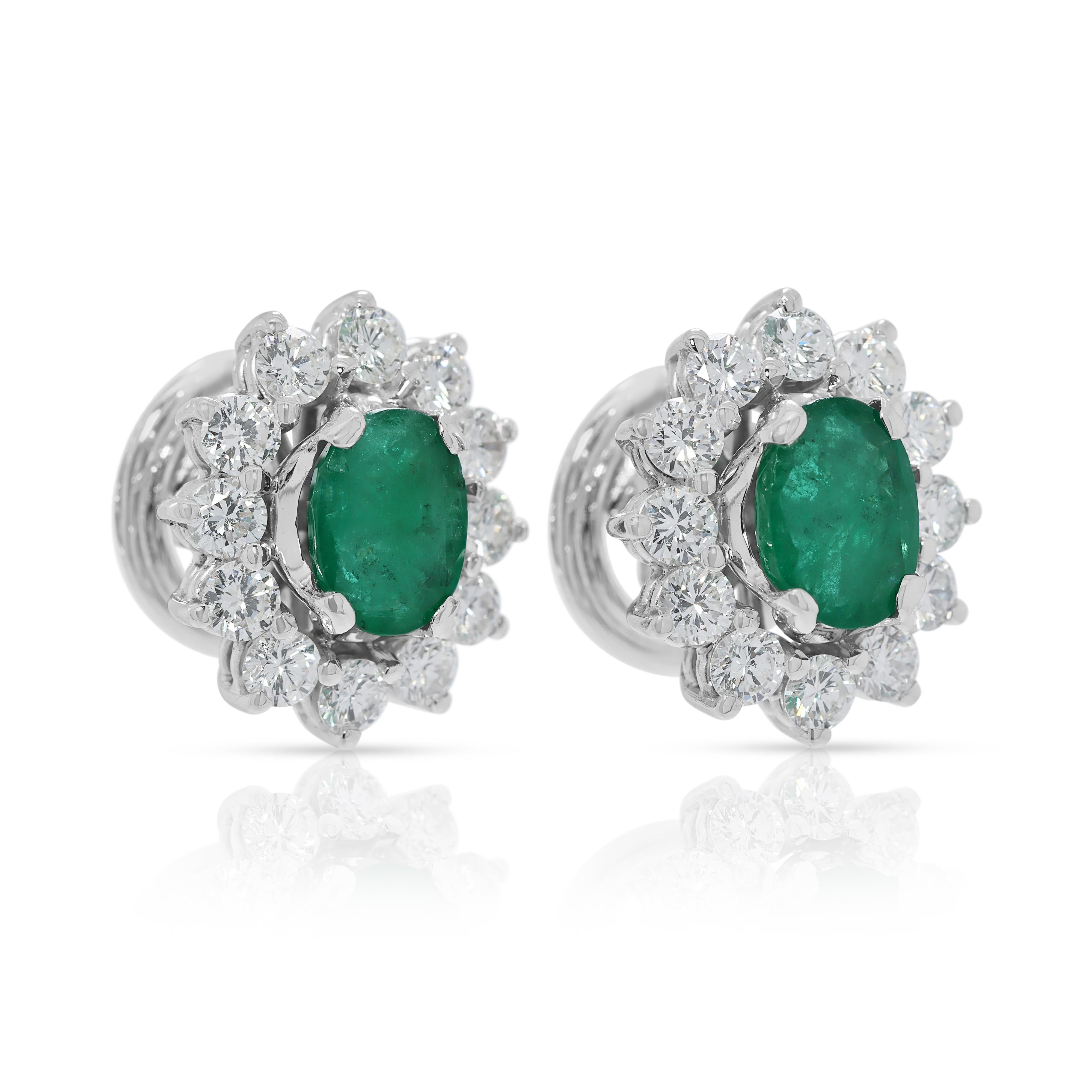Oval Cut Stunning 11.40ct Emerald & Diamonds Cluster Stud Earrings in 18K White Gold For Sale