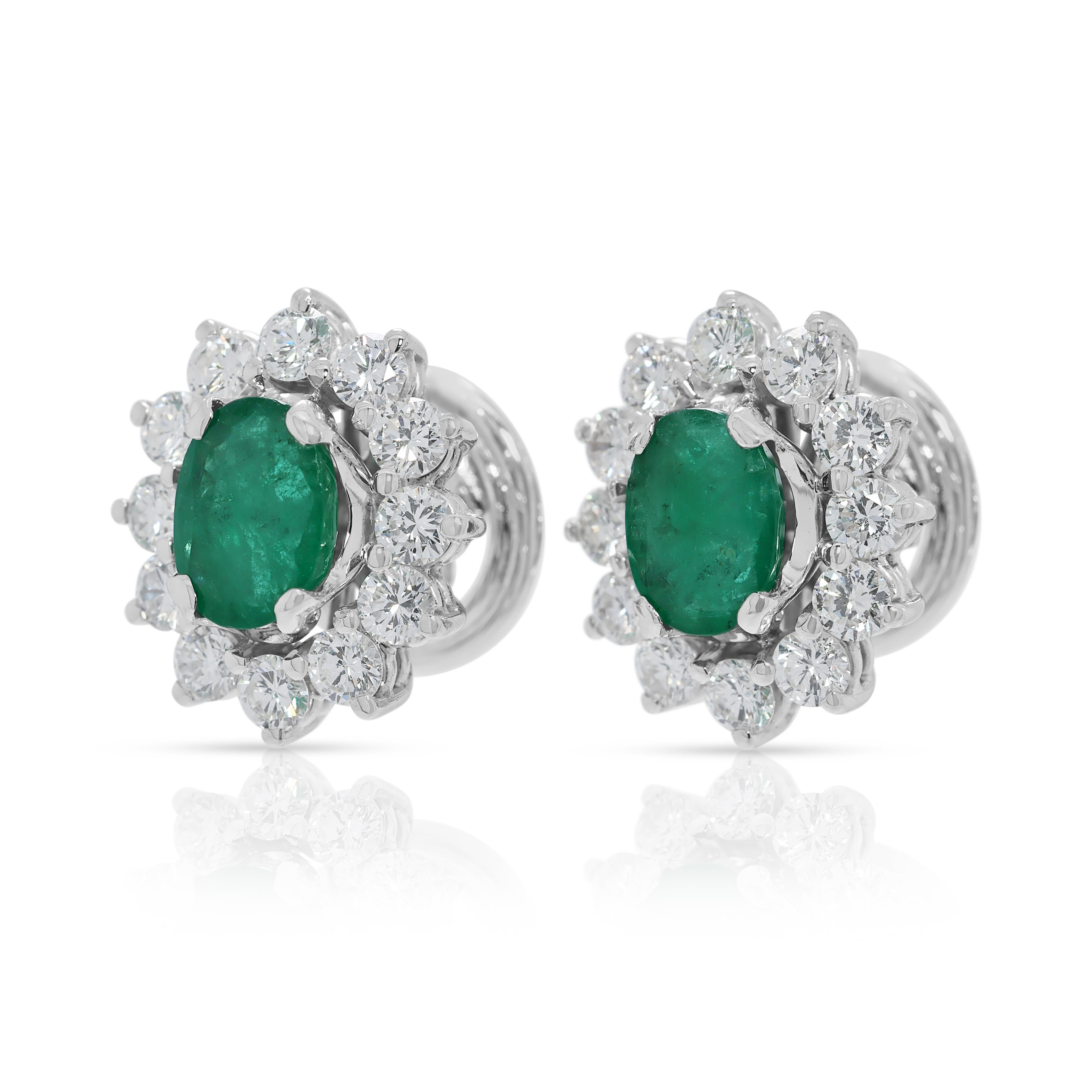 Stunning 11.40ct Emerald & Diamonds Cluster Stud Earrings in 18K White Gold In Excellent Condition For Sale In רמת גן, IL