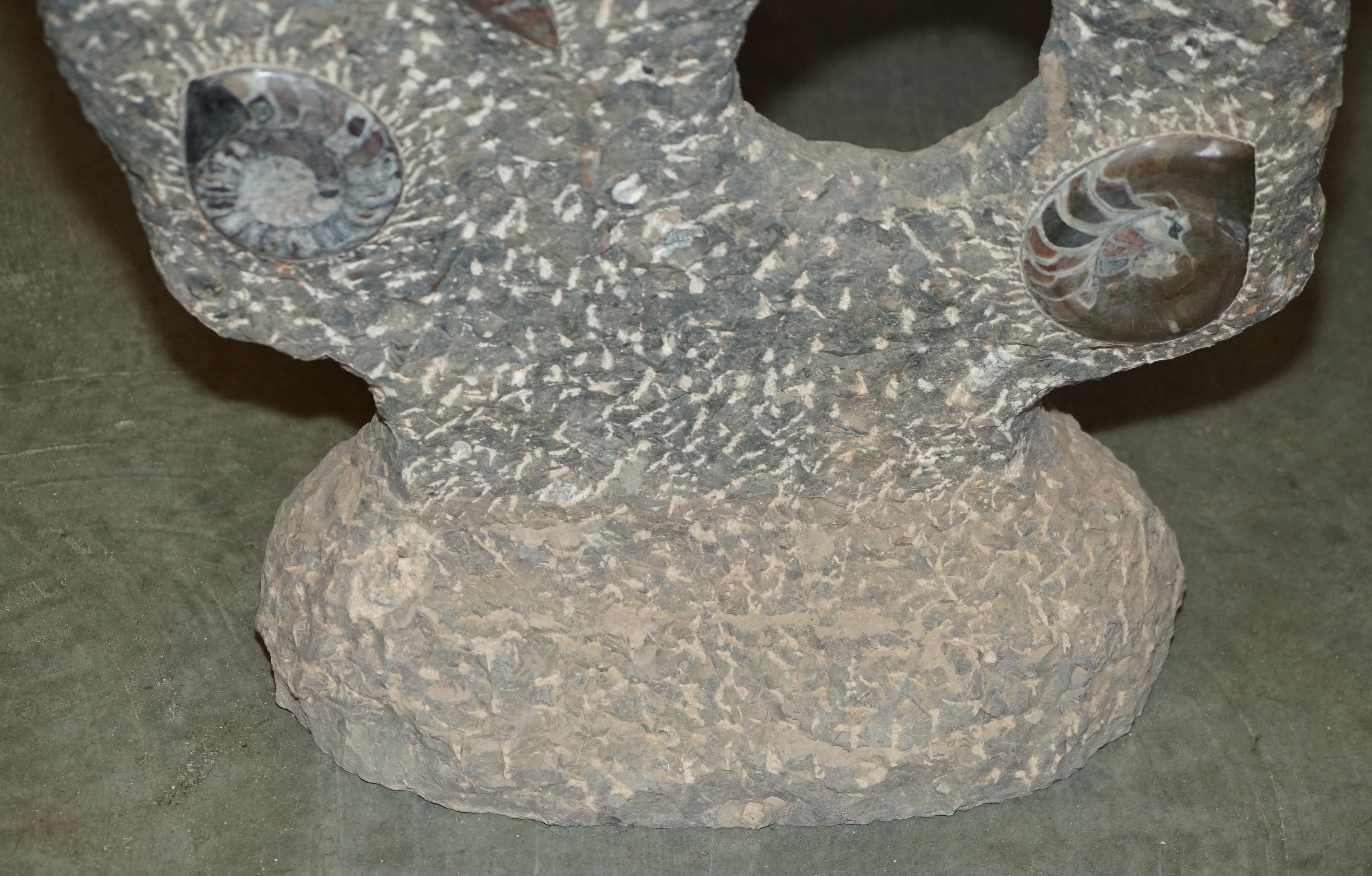 STUPENDO SCULTURA DI FOSSILE ANTICO AMMONITITO ORTHOCERAS ALTA 117 cm. in vendita 4