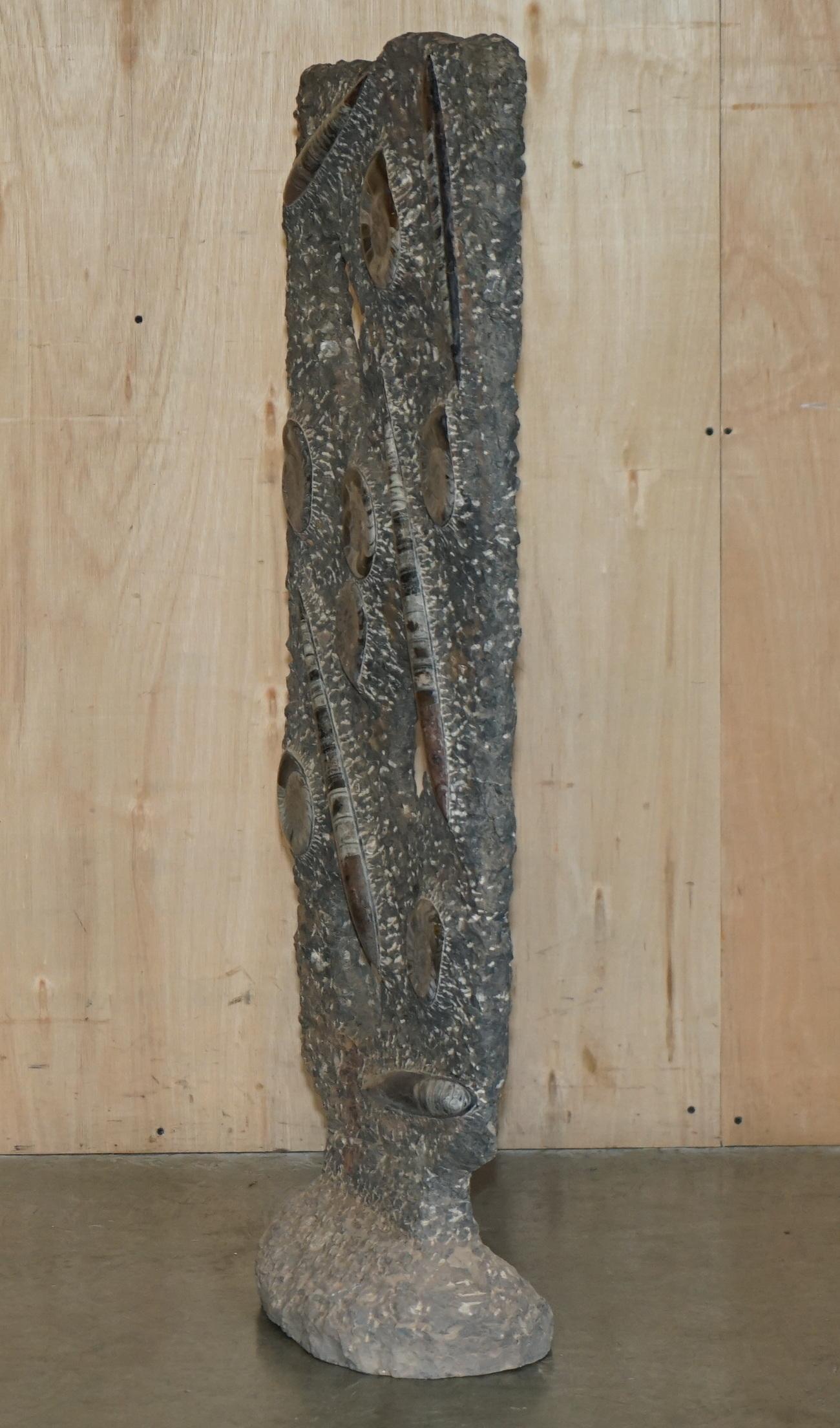STUPENDO SCULTURA DI FOSSILE ANTICO AMMONITITO ORTHOCERAS ALTA 117 cm. in vendita 5