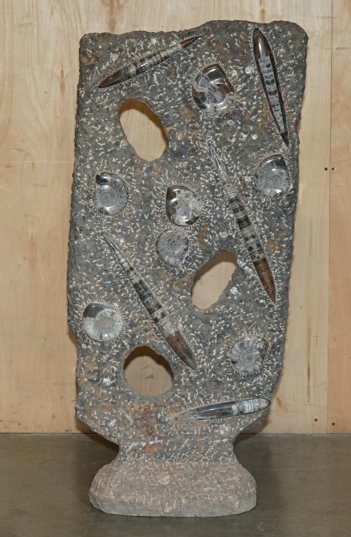 STUPENDO SCULTURA DI FOSSILE ANTICO AMMONITITO ORTHOCERAS ALTA 117 cm. in vendita 6