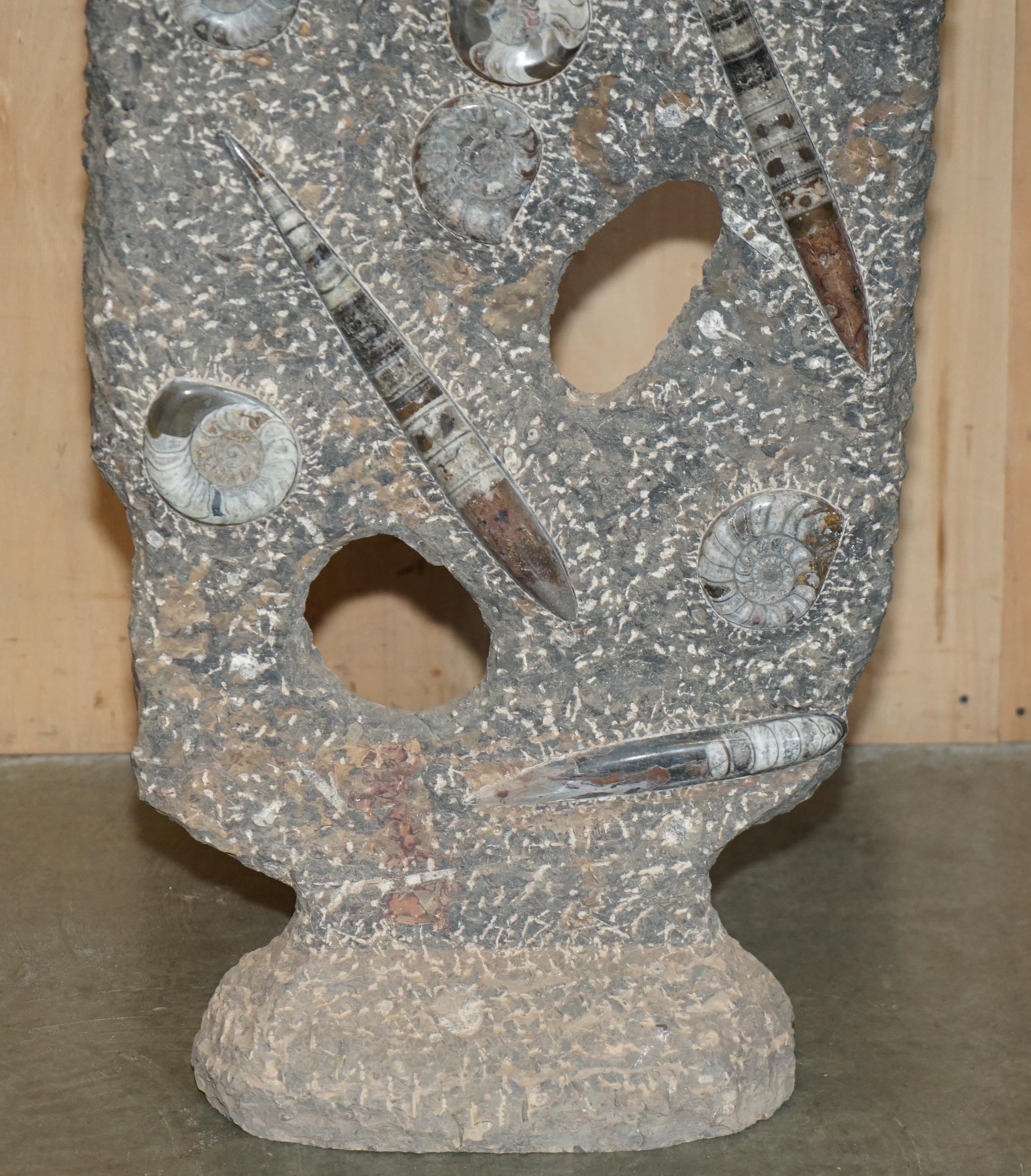 STUPENDO SCULTURA DI FOSSILE ANTICO AMMONITITO ORTHOCERAS ALTA 117 cm. in vendita 9