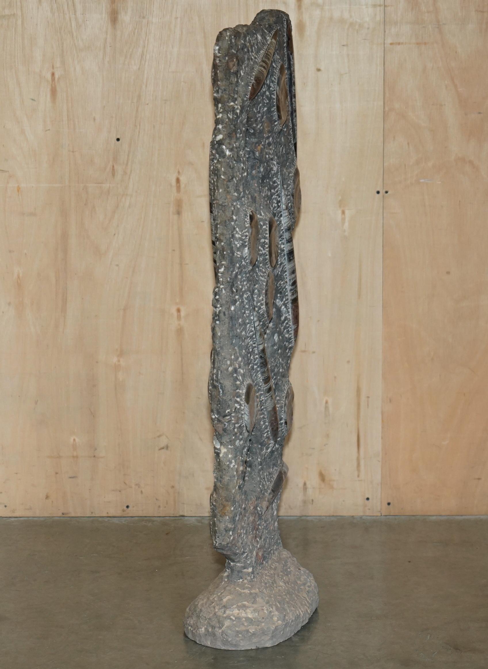 STUPENDO SCULTURA DI FOSSILE ANTICO AMMONITITO ORTHOCERAS ALTA 117 cm. in vendita 13