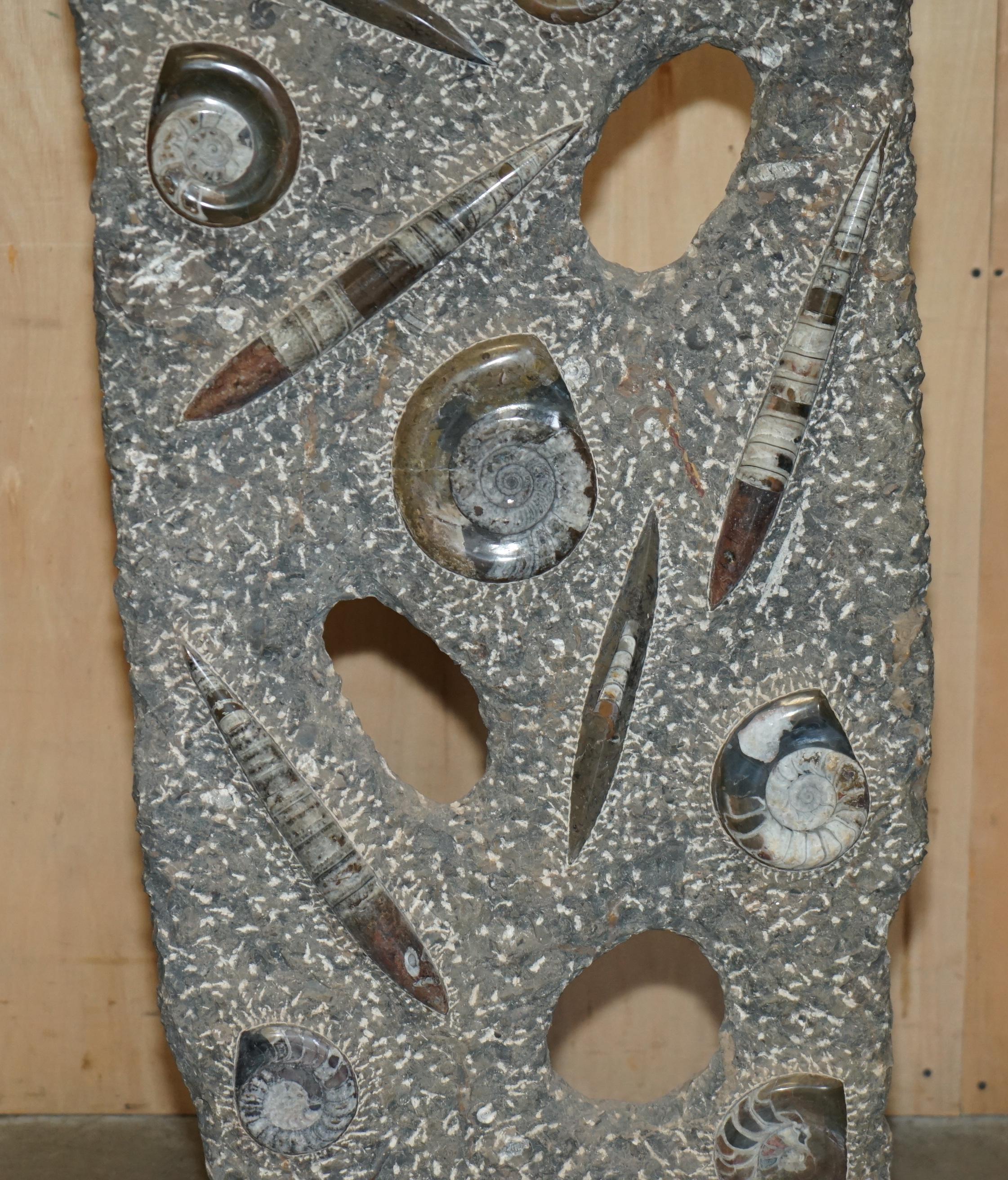 Fatto a mano STUPENDO SCULTURA DI FOSSILE ANTICO AMMONITITO ORTHOCERAS ALTA 117 cm. in vendita