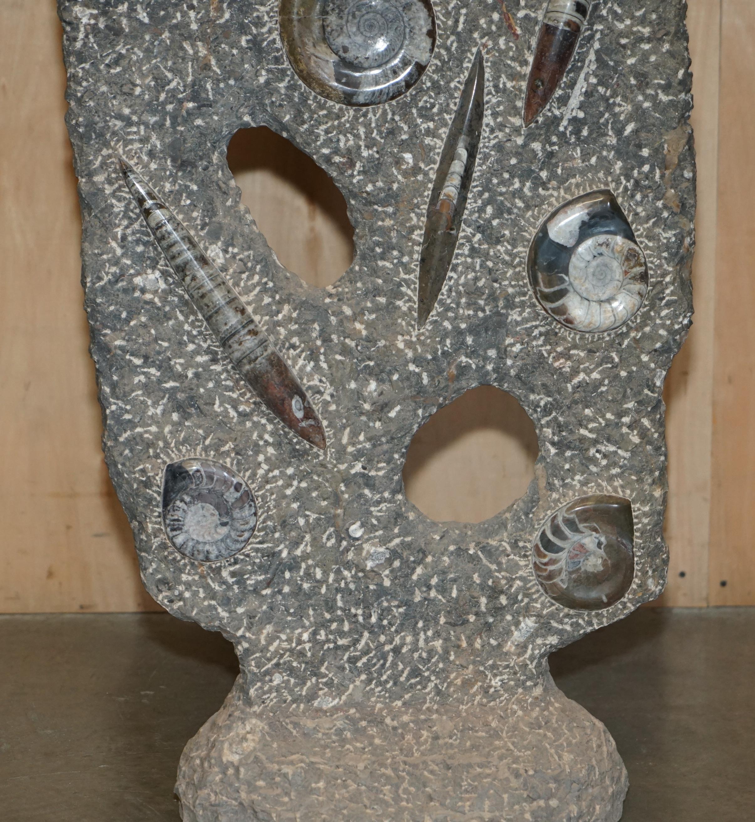 STUPENDO SCULTURA DI FOSSILE ANTICO AMMONITITO ORTHOCERAS ALTA 117 cm. In condizioni buone in vendita a West Sussex, Pulborough