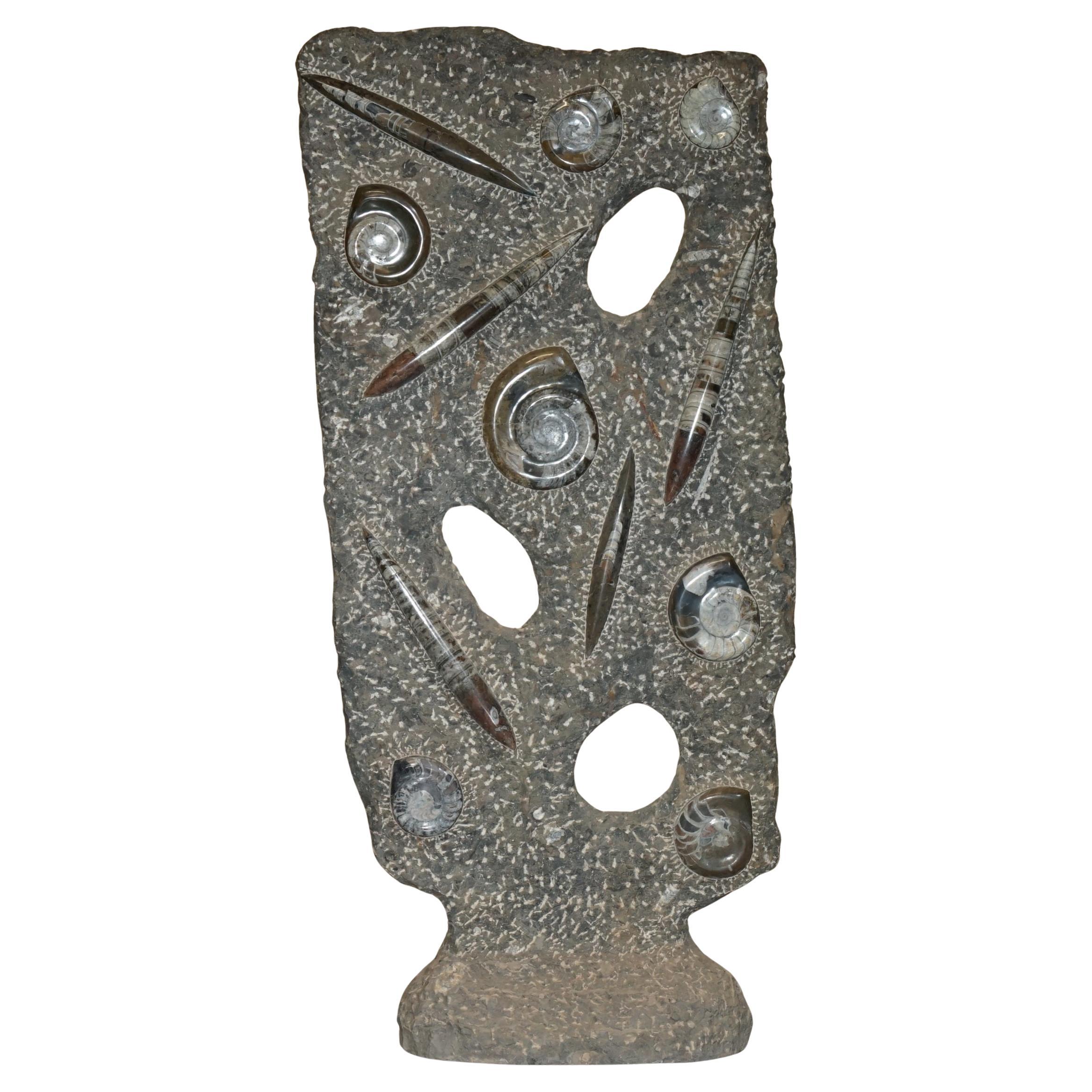 STUNNING 117CM HIGH FLOOR STANDING ANCIENT FOSSIL AMMONiTE ORTHOCERAS SCULPTURE