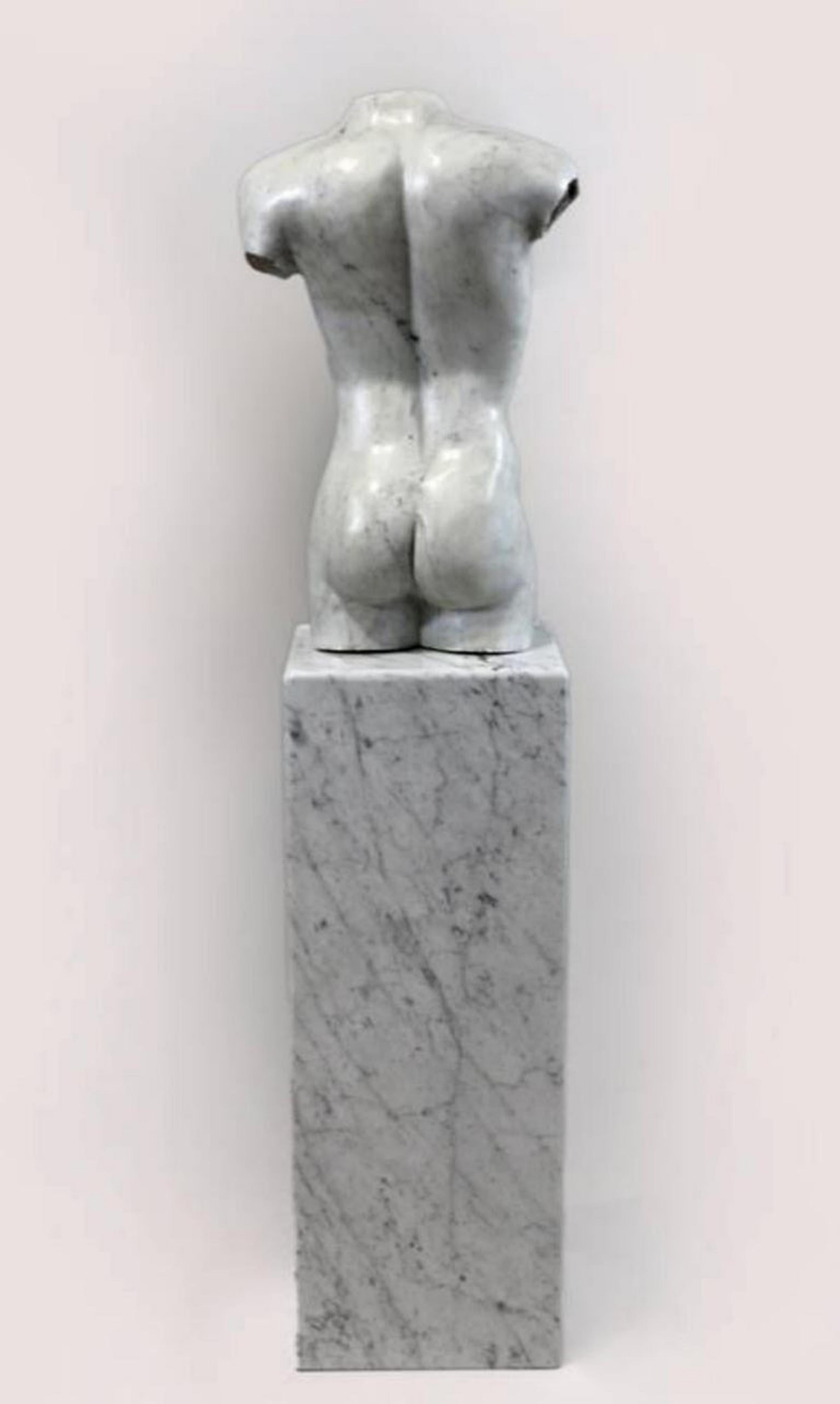 Stunning 19th Century Italian Torso in Carrara Marble
original gift from the Count of Bologna to a German private 
along with a solid marble plinth,
torso h 65cm, l 38cm, w 25cm,
plinth 80cm, l 30cm, w 30cm,
good condition,
H Total: 145cm
