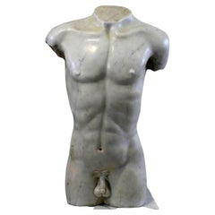 Stunning 19th Century Italian Torso in Carrara Marble H: Total: 145cm
