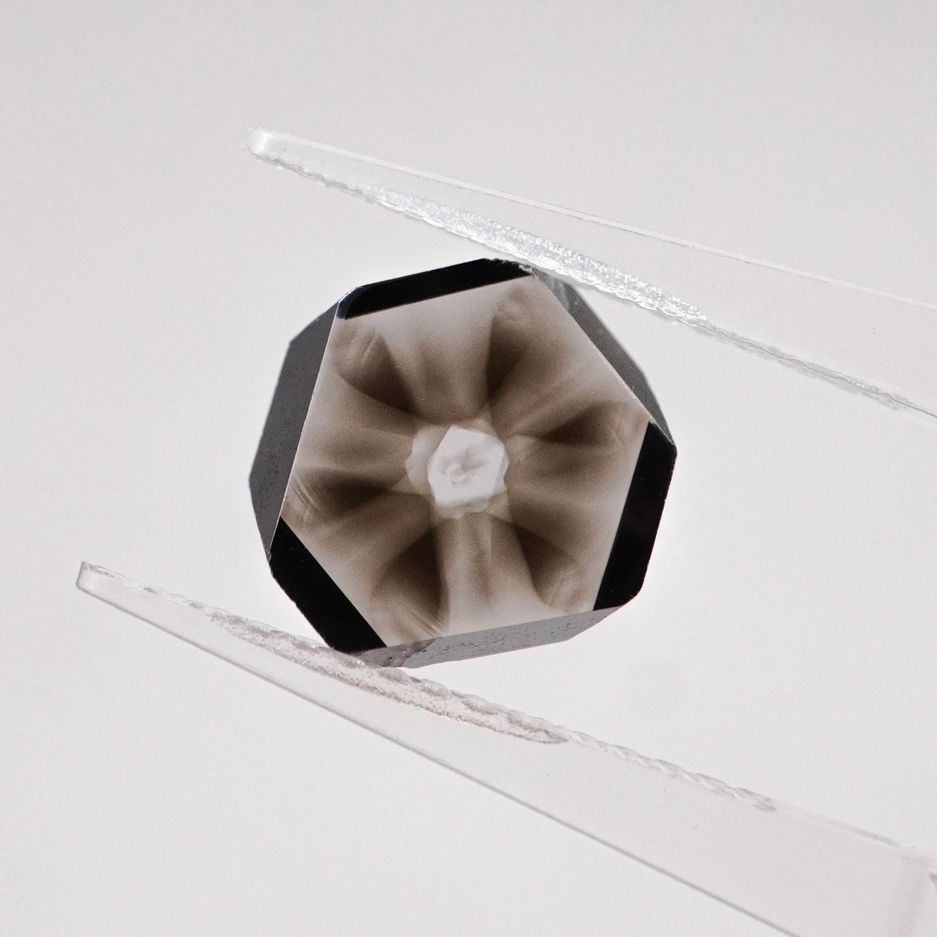 The enchanting allure of a 3.25 carat diamond, featuring a rare and mesmerizing flower inclusion. This unique gemstone captures the imagination with its natural beauty and distinctive character.

The flower inclusion, a rare phenomenon, adds a touch