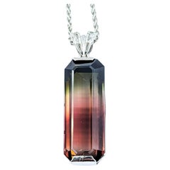 Atemberaubende 34,54ct Bi-Color Rosa & Grün Turmalin Anhänger Halskette in Platin