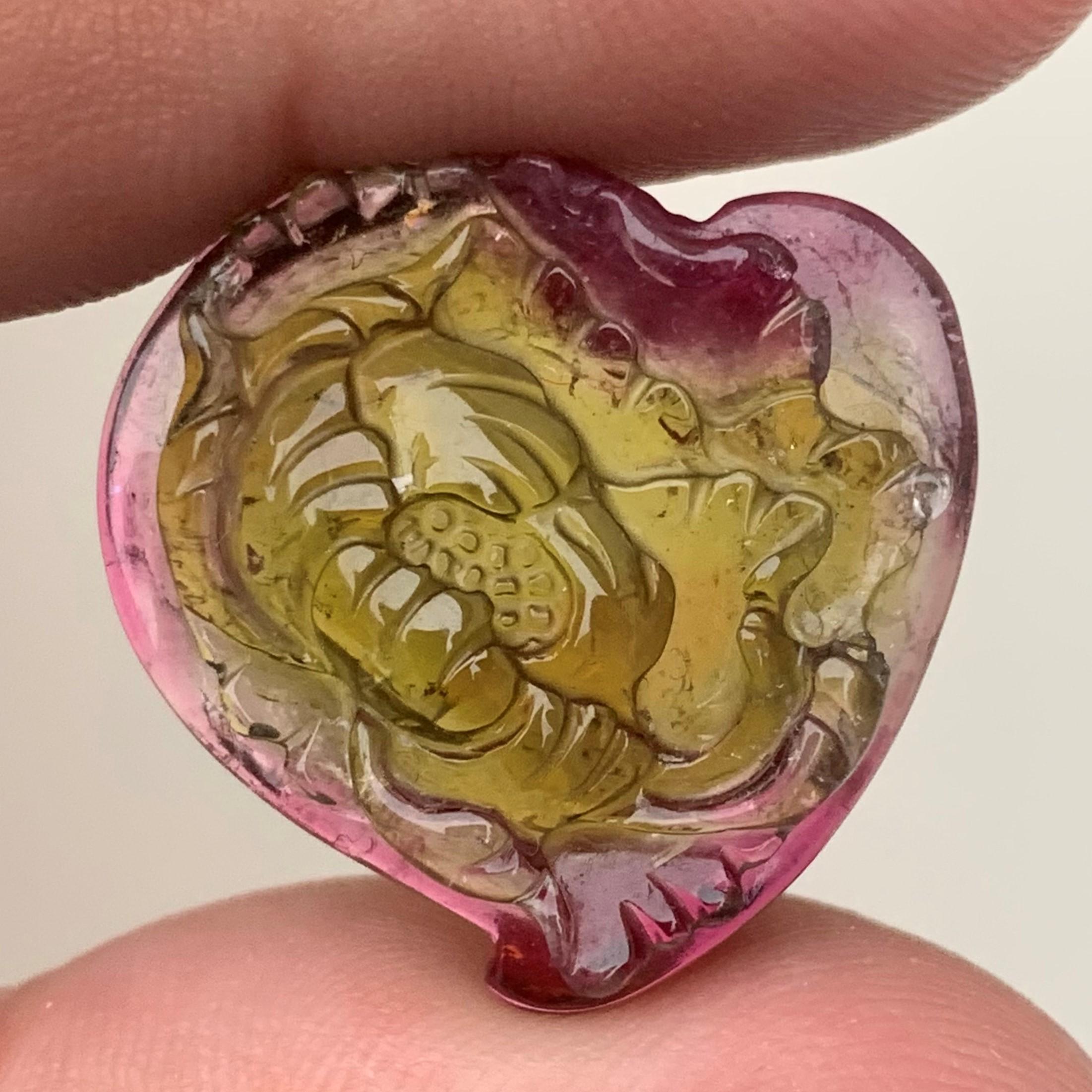 Bicolor Tourmaline Carved
Weight: 35.80 Carats
Dimension: 24x24x8.1 Mm
Origin: Afghanistan
Color: Green & Pink
Shape: Heart Shape Carved
Quality: AAA
.
Bicolor tourmaline is connected to the heart chakra, which makes it good for cleansing and