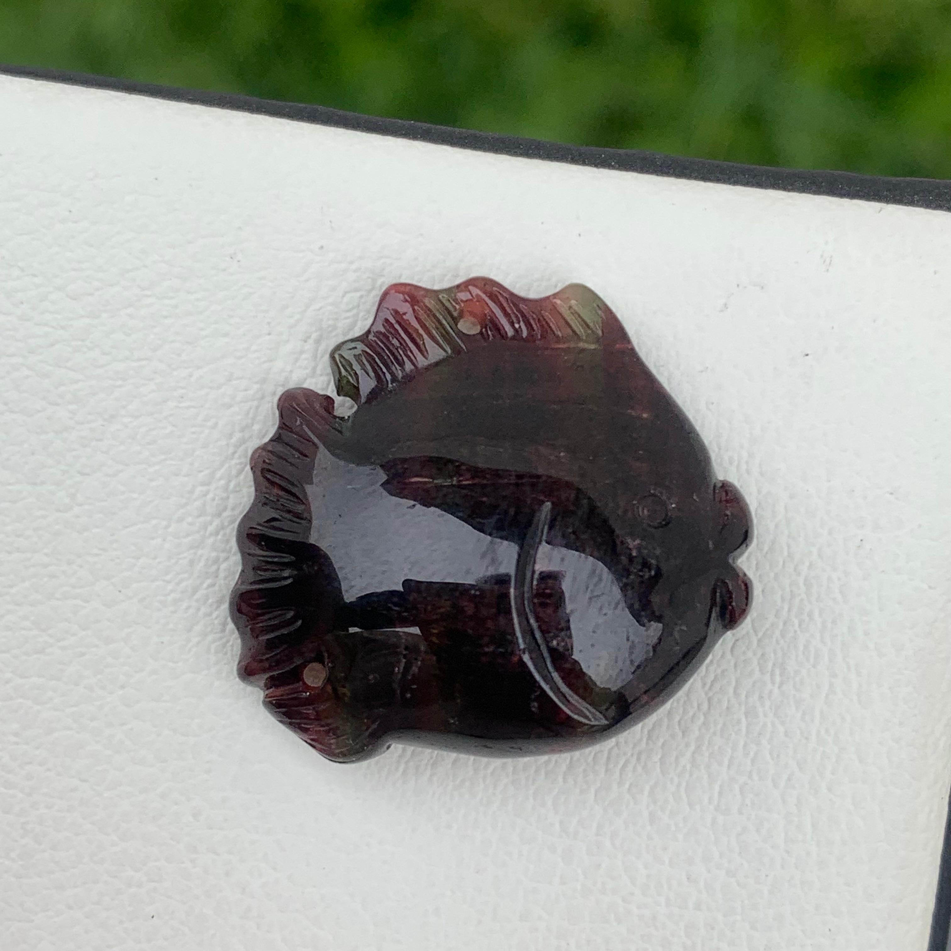 Stunning 37.10 Carats Bi Color Fish Shape Tourmaline Drilled Carving For Sale 2