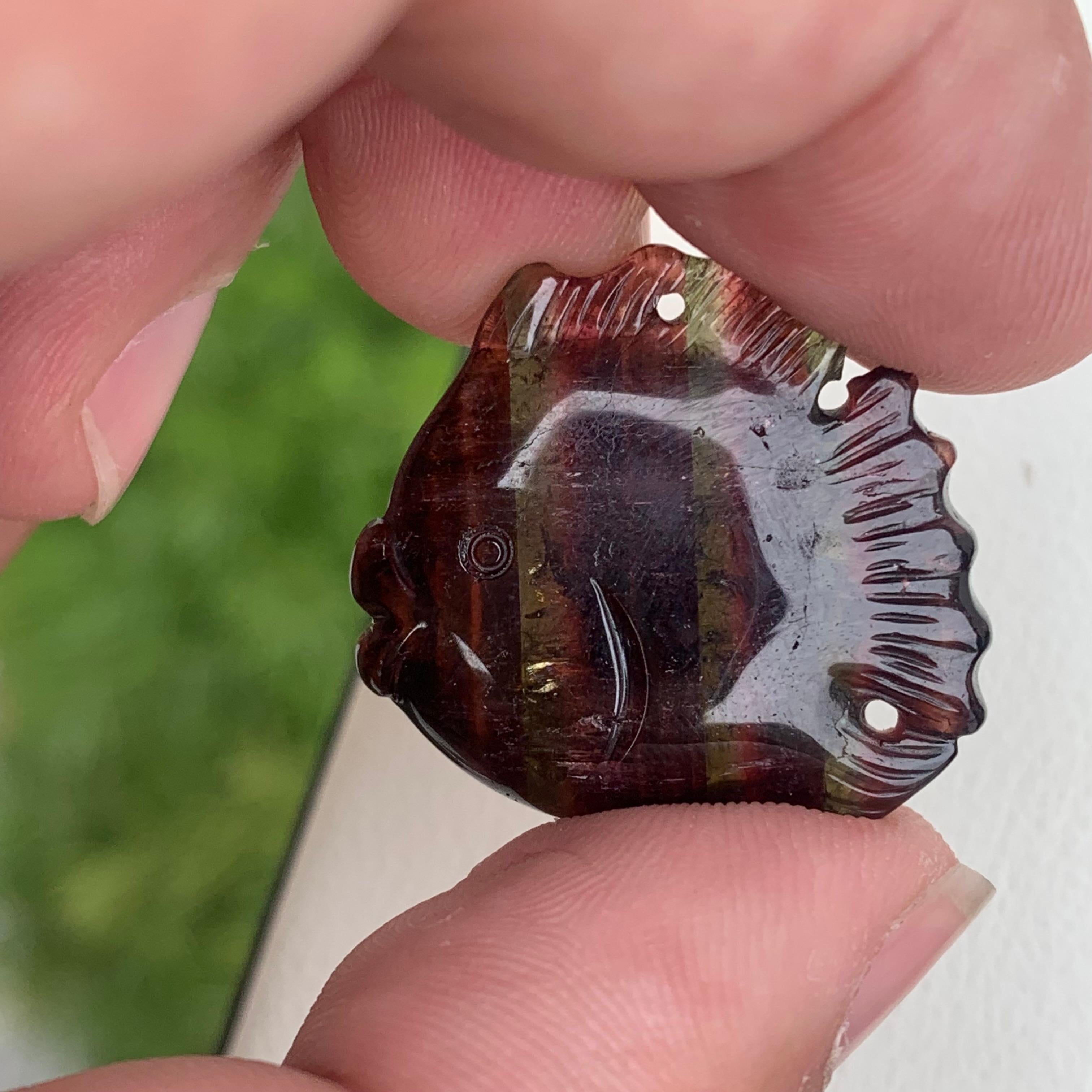 18th Century and Earlier Stunning 37.10 Carats Bi Color Fish Shape Tourmaline Drilled Carving For Sale